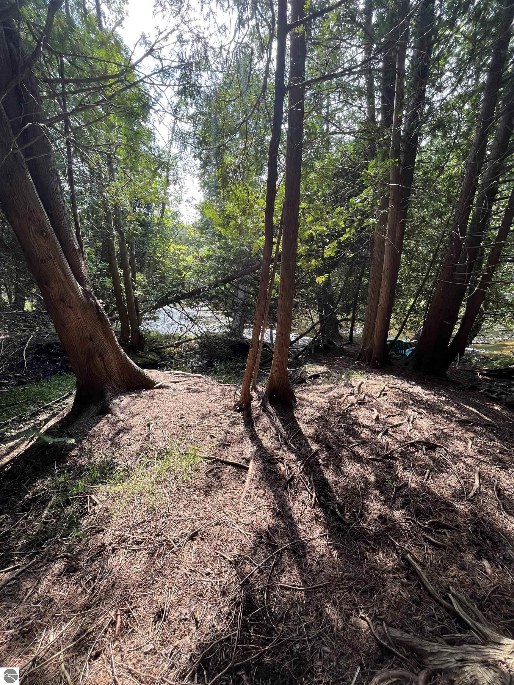 18396 Pine Ridge Way