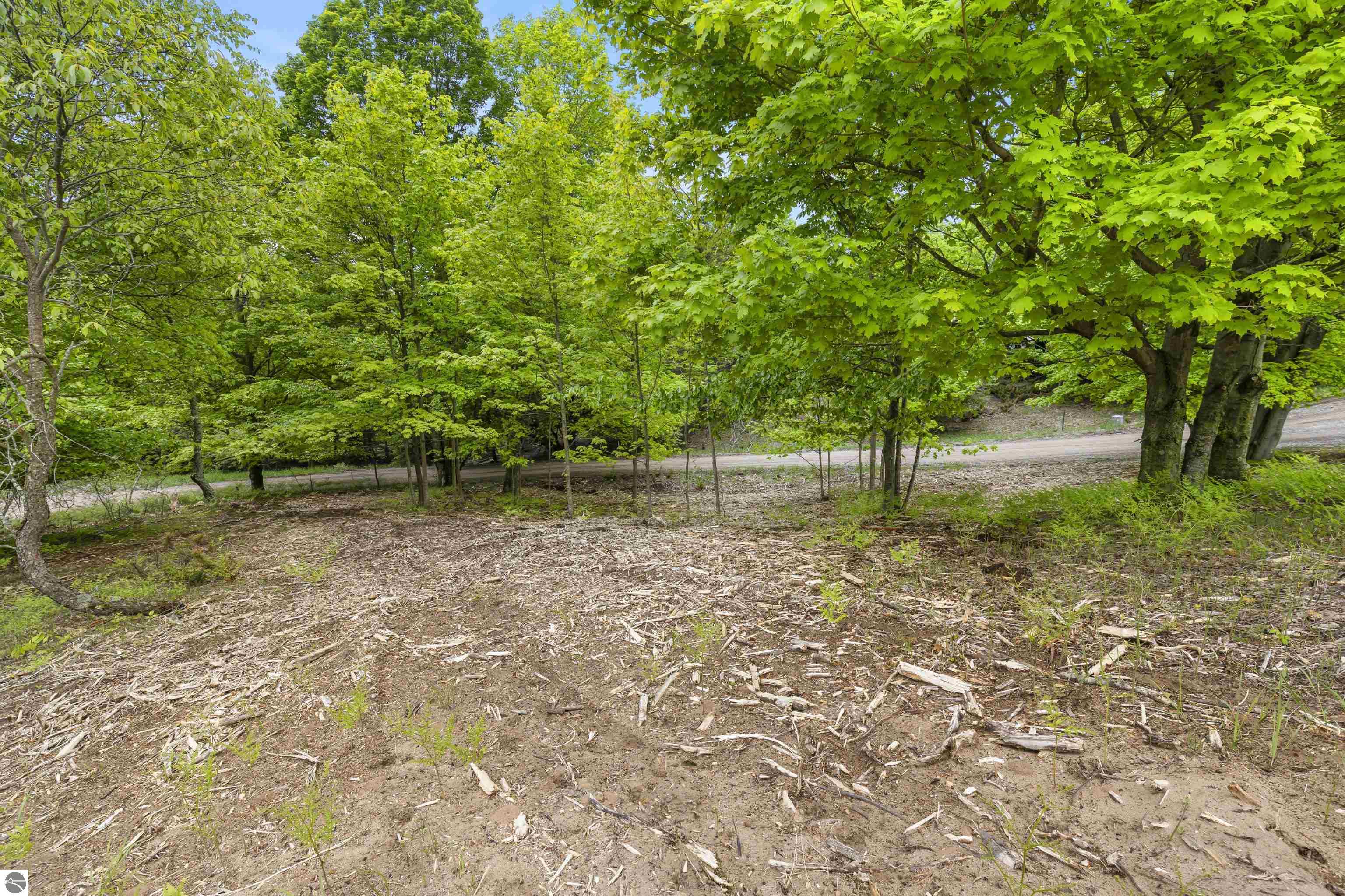 15380 Lake Bluff Drive