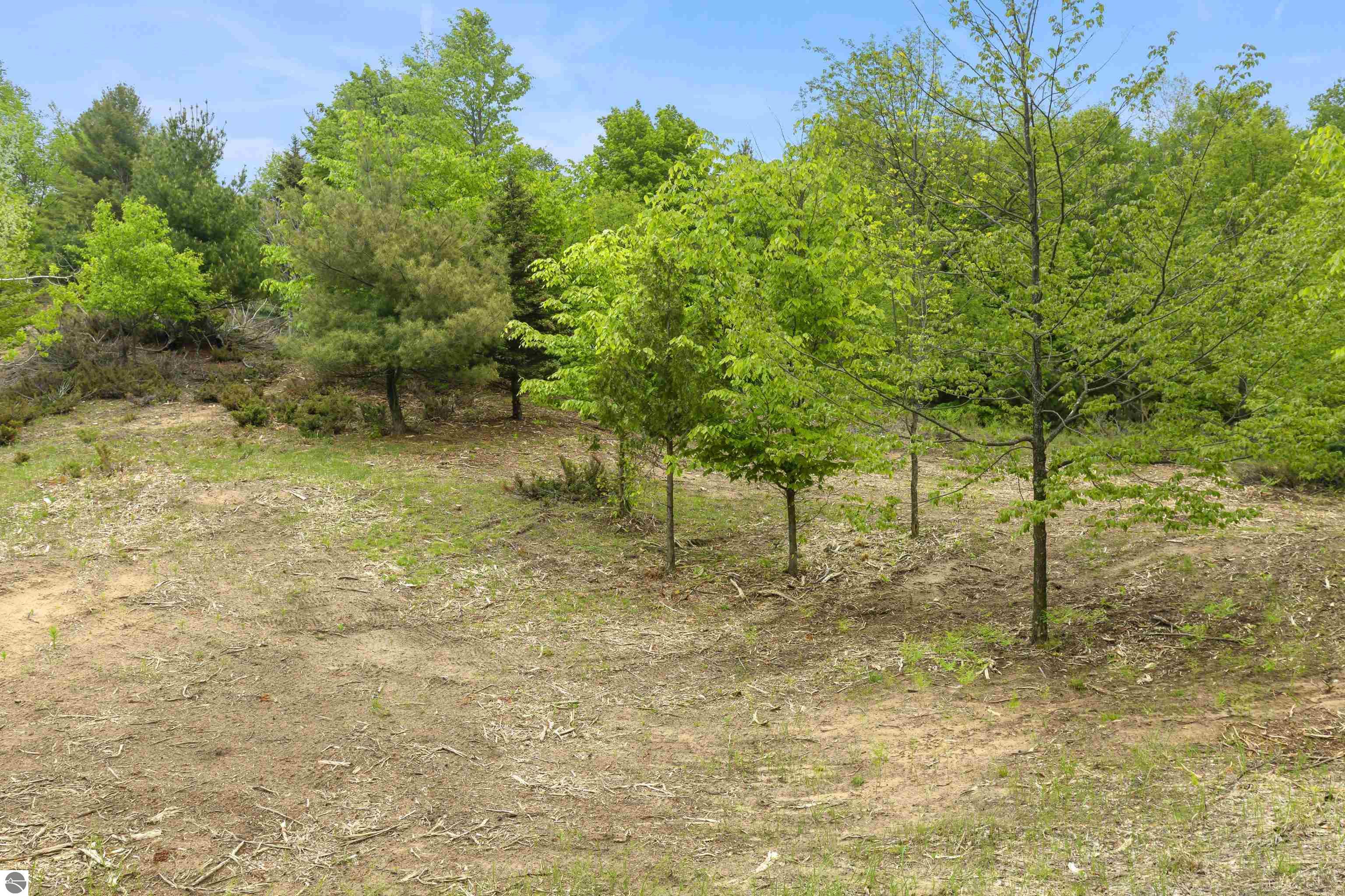 15380 Lake Bluff Drive