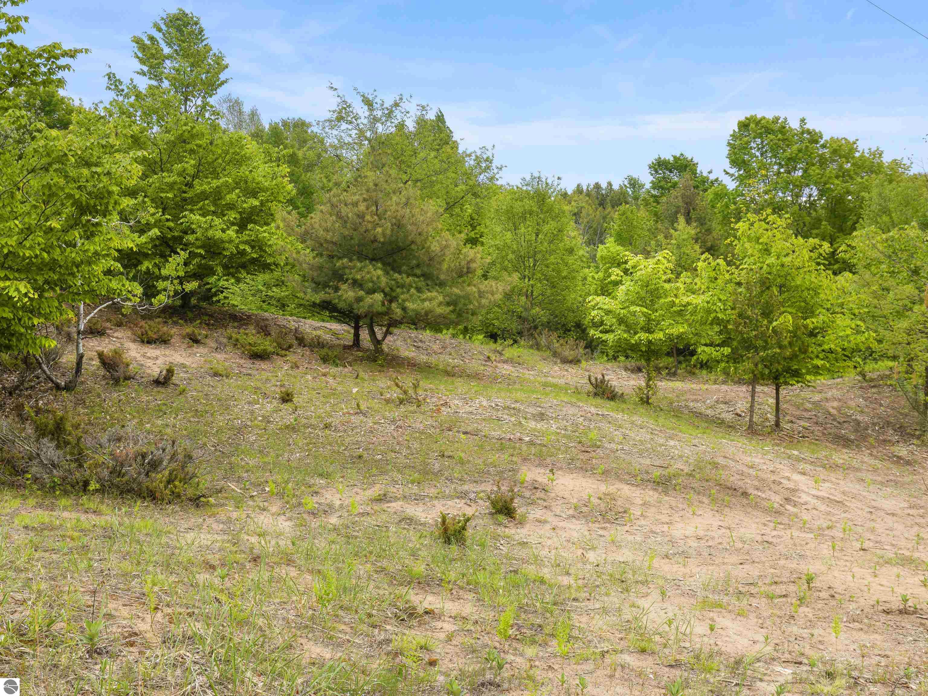 15380 Lake Bluff Drive