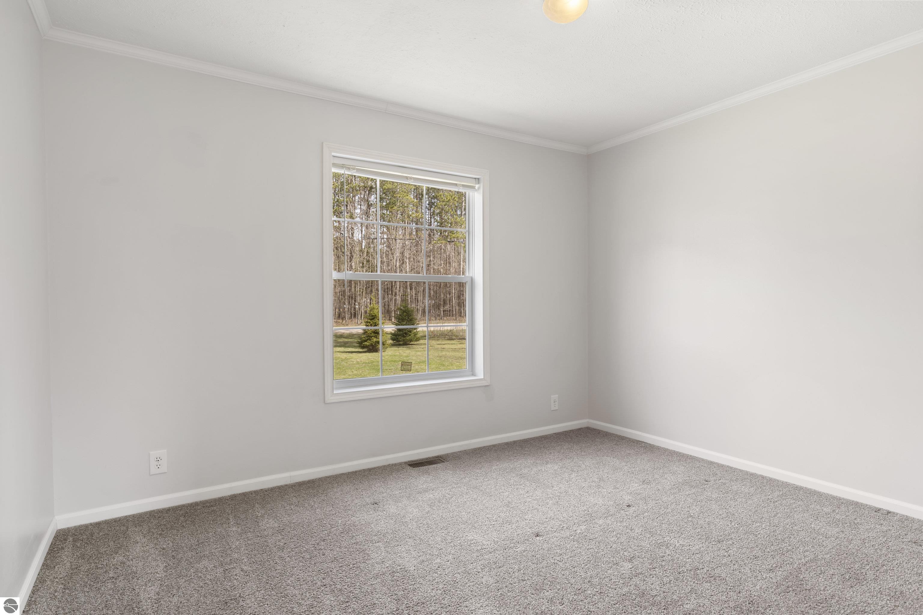 14141 Woods Trail