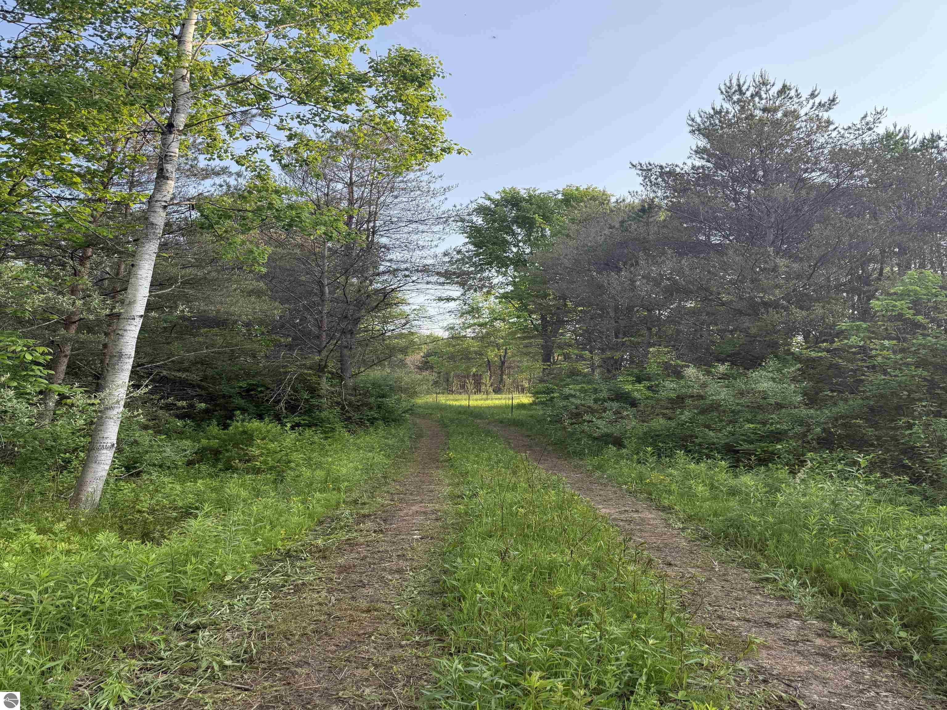 0000000 Dzuibanek Road