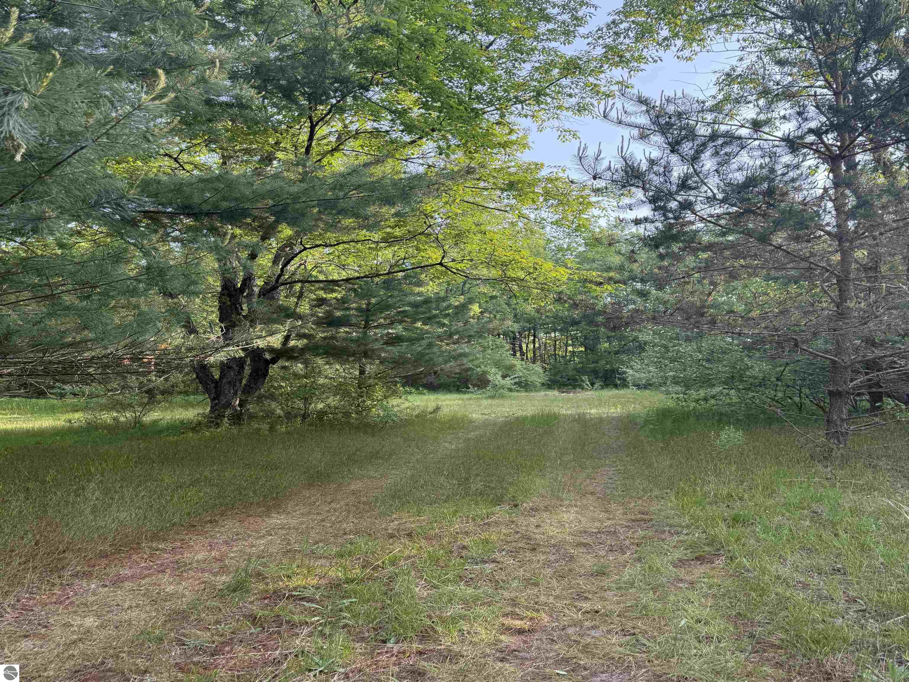 0000000 Dzuibanek Road