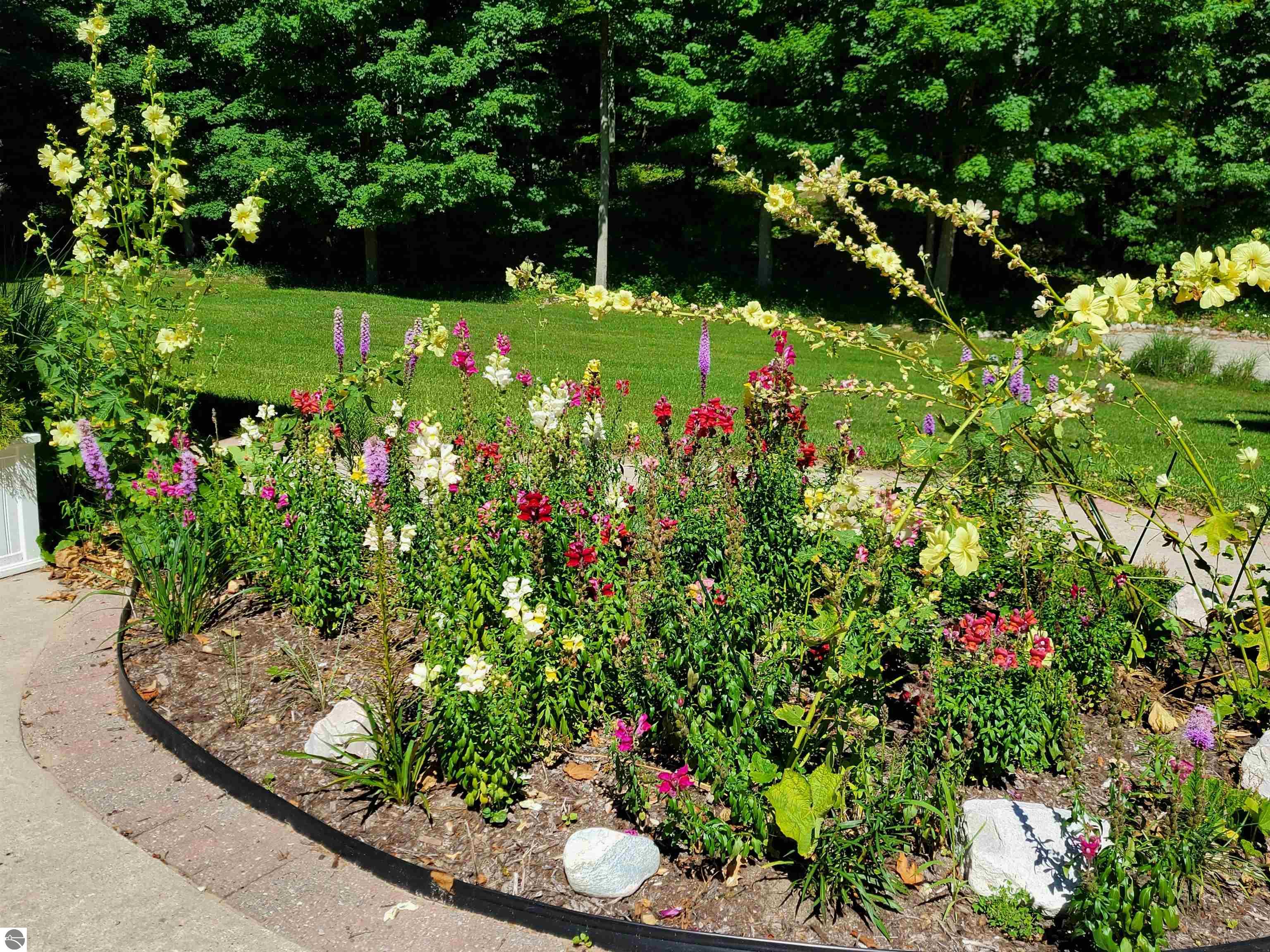 2855 Eleven Mile Road