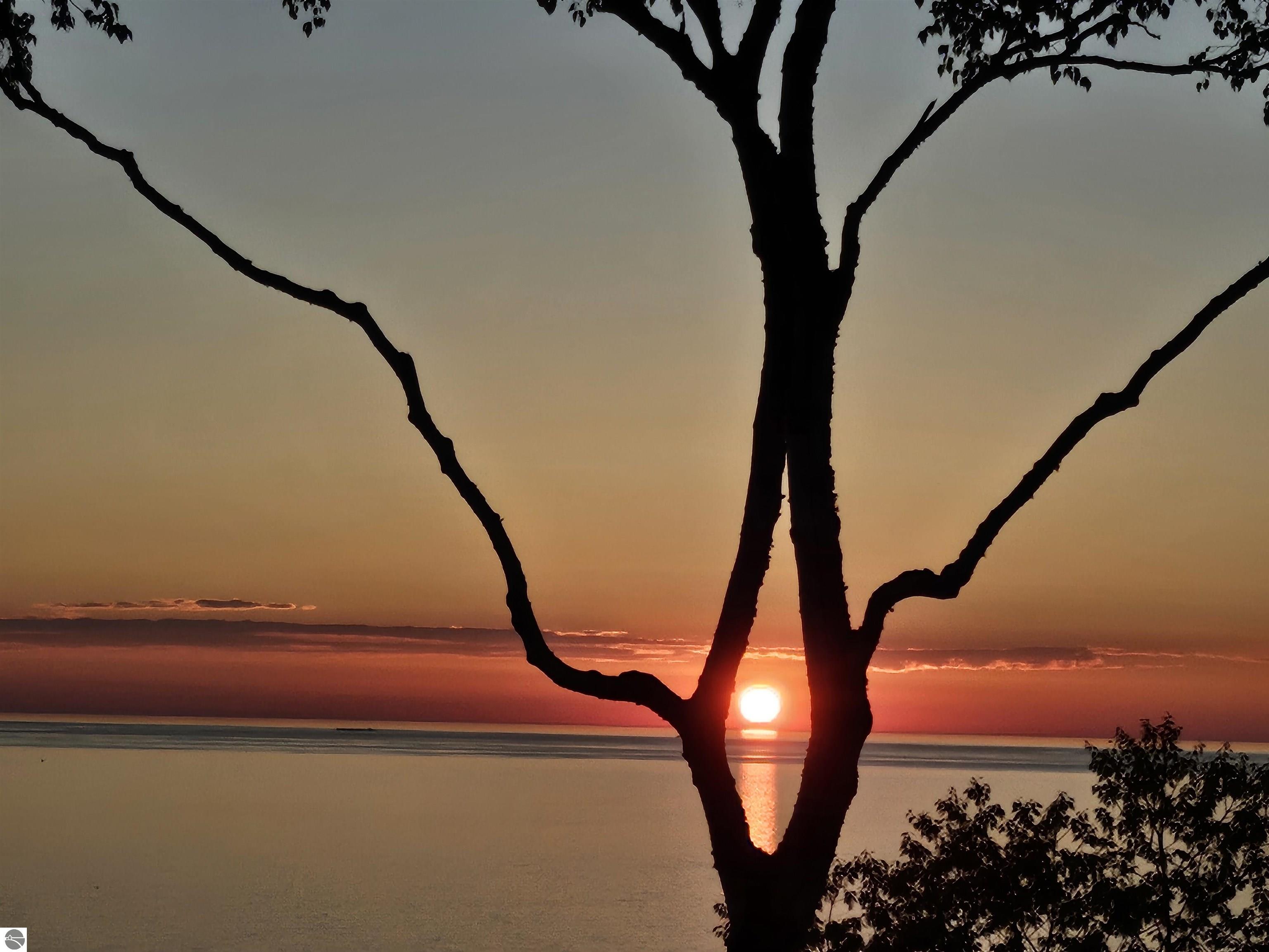 2855 Eleven Mile Road