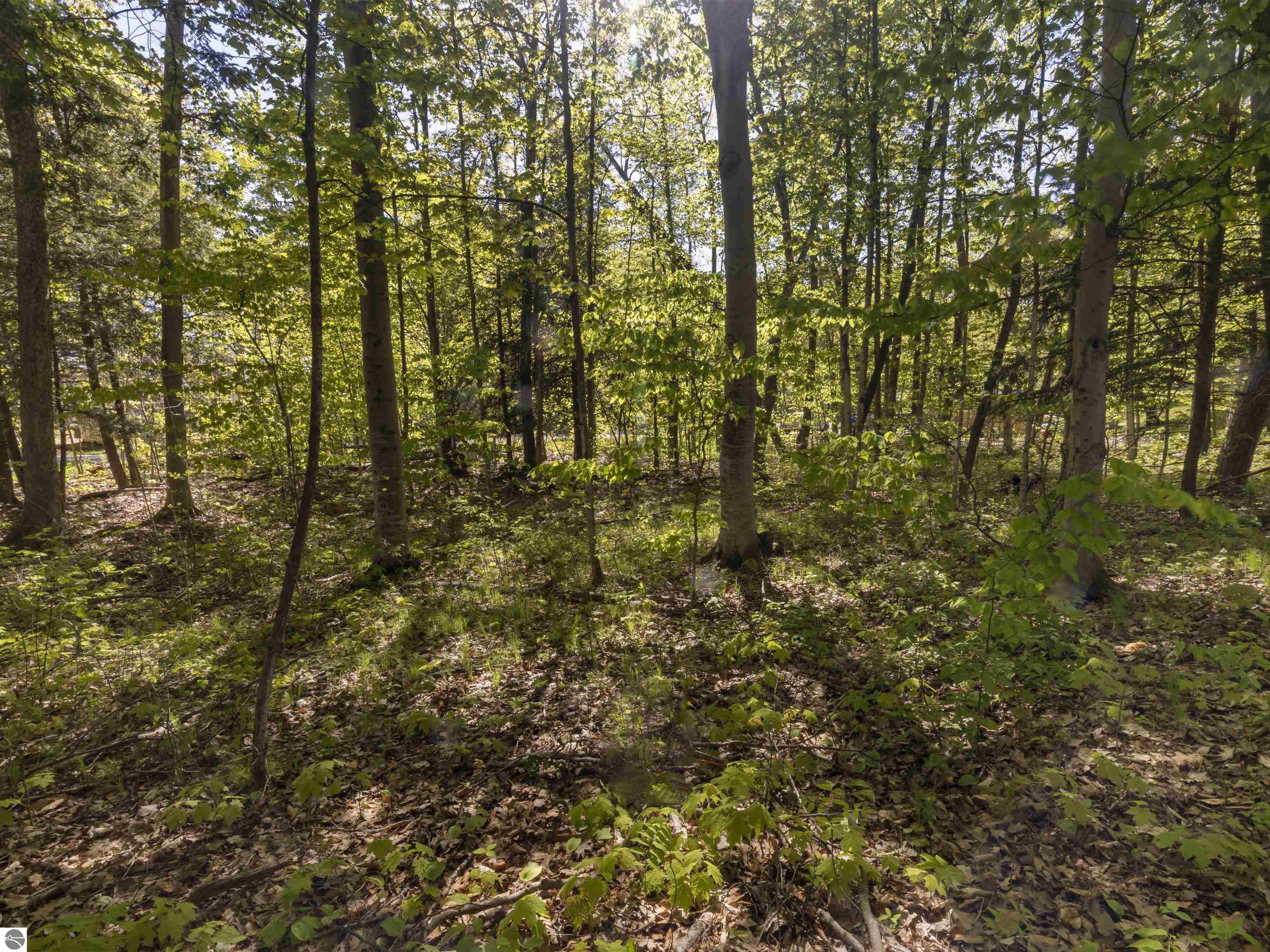 Lots 102-104 Poplar Avenue