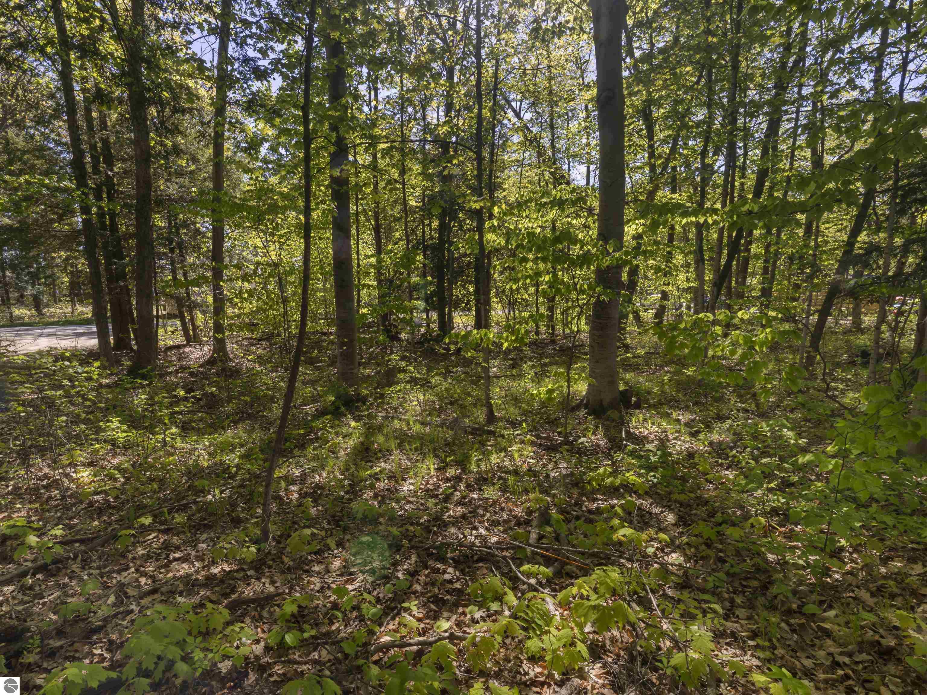 Lots 102-104 Poplar Avenue