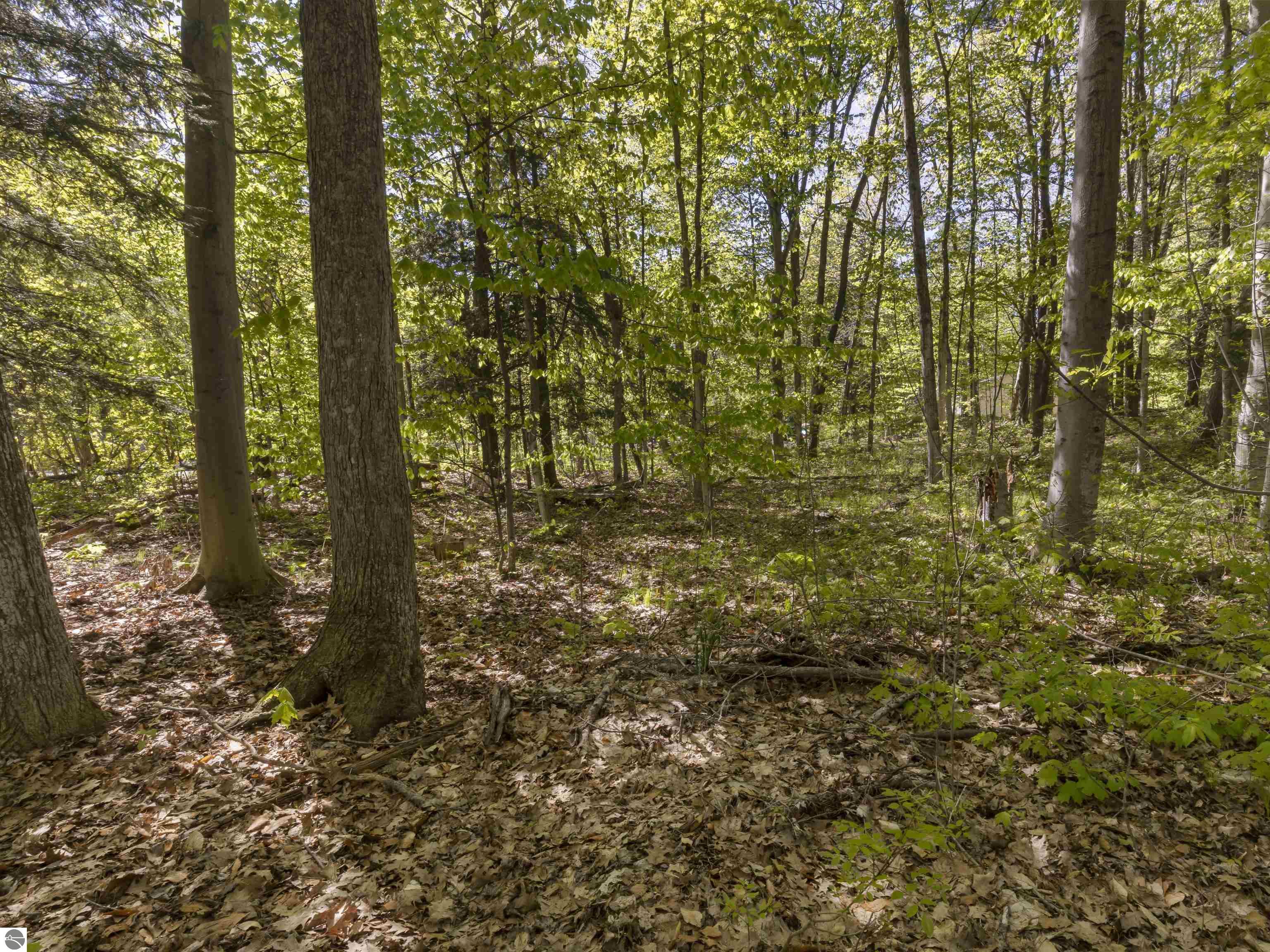Lots 102-104 Poplar Avenue
