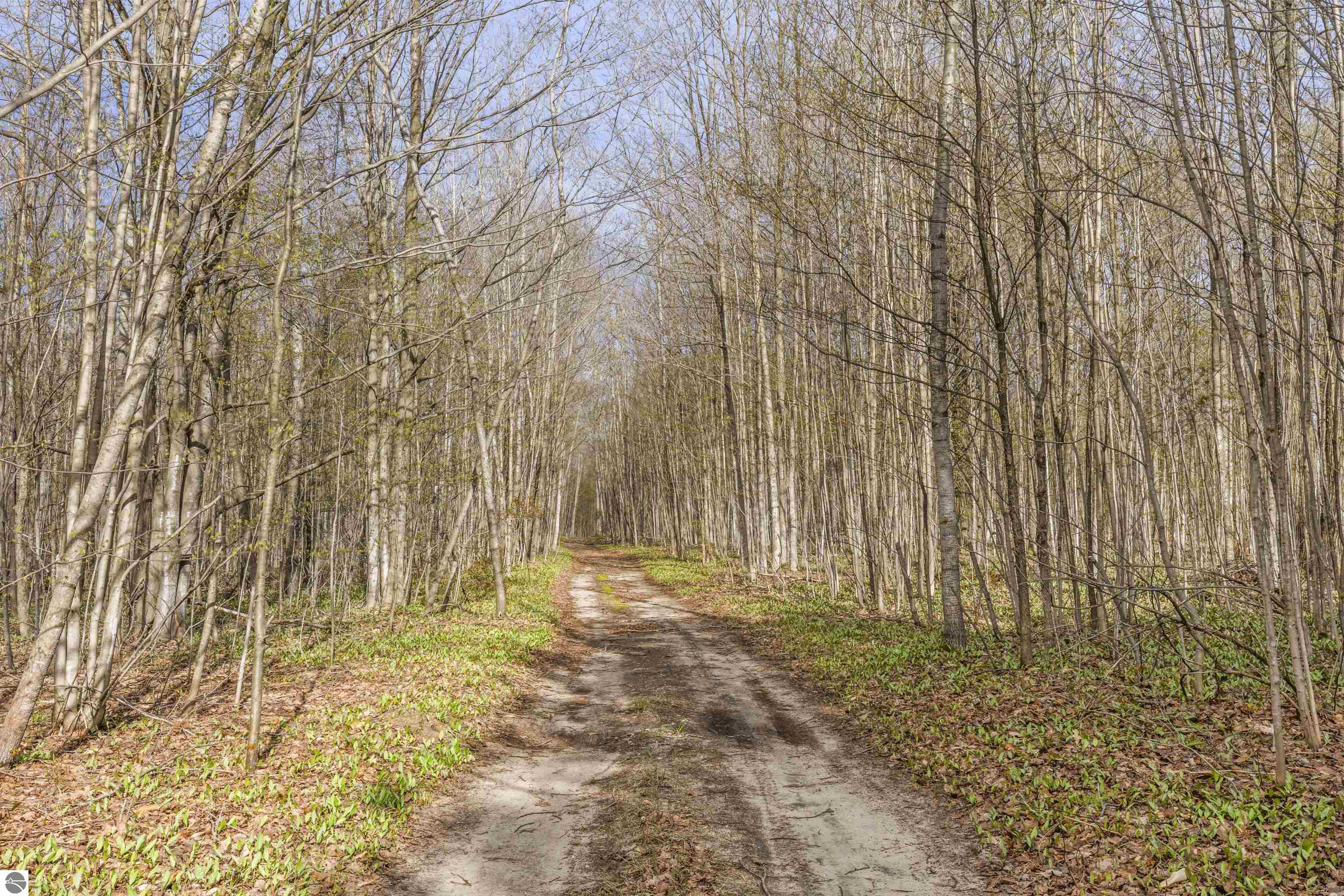 Love Road