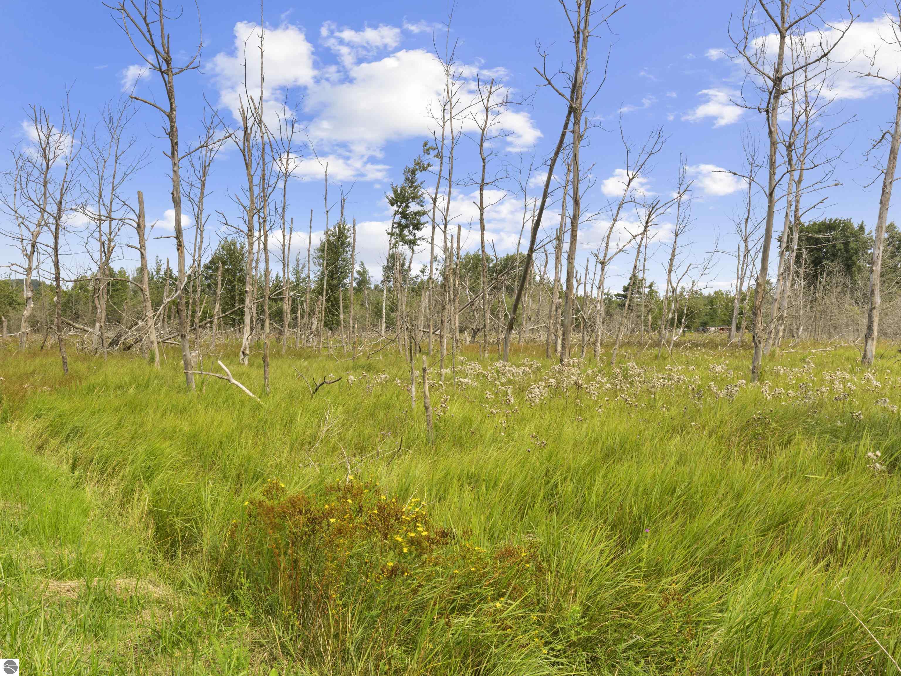 Lot 10 Fairway