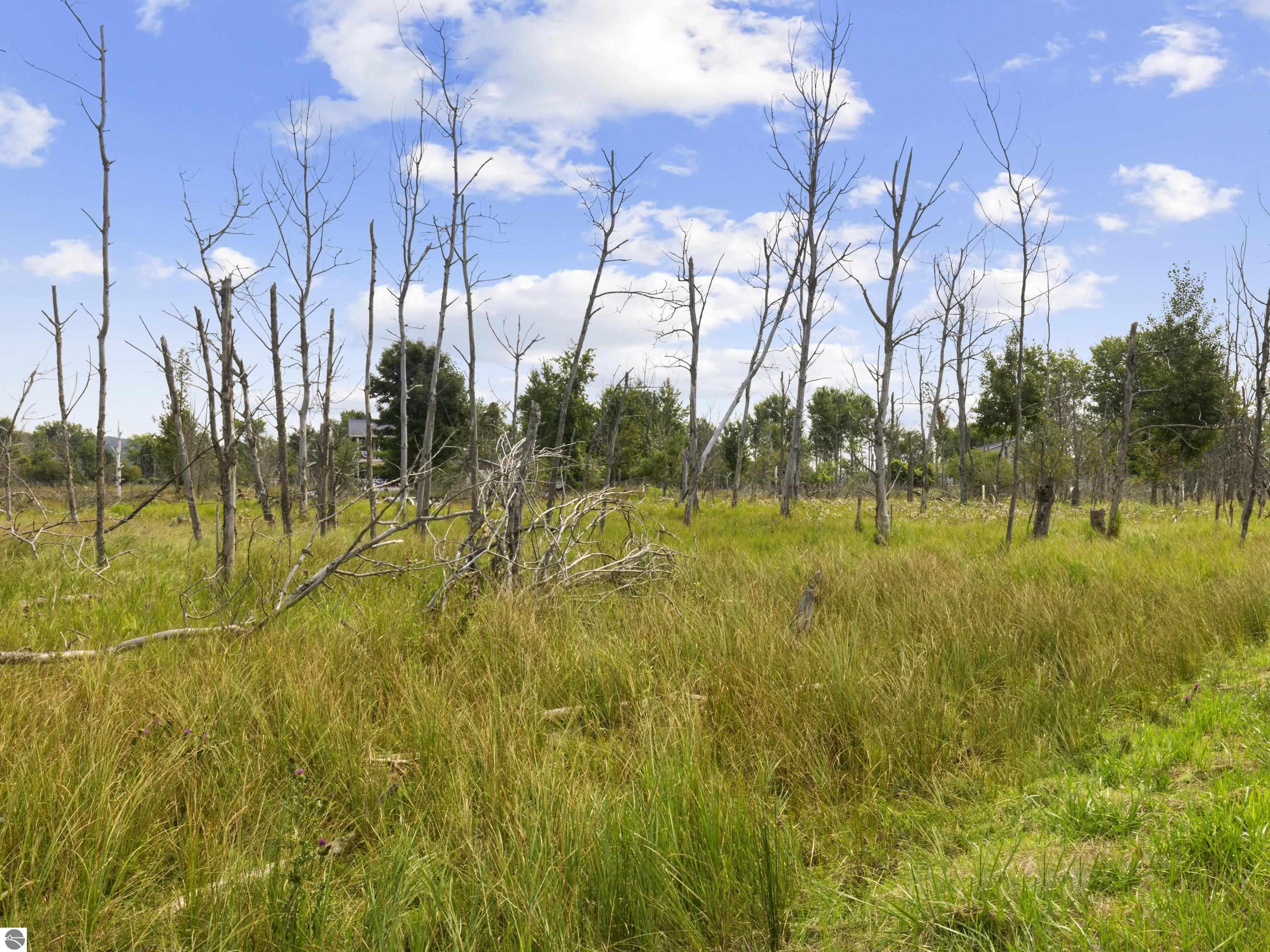 Lot 10 Fairway