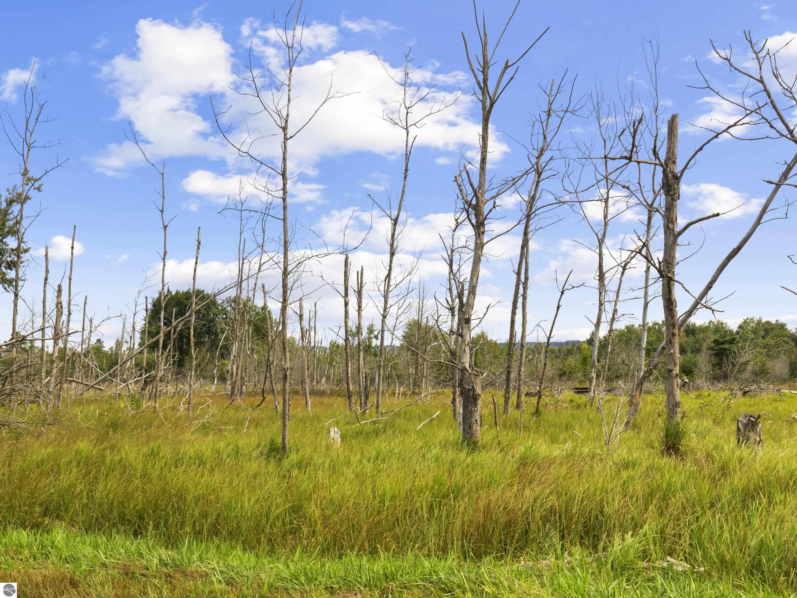 Lot 10 Fairway