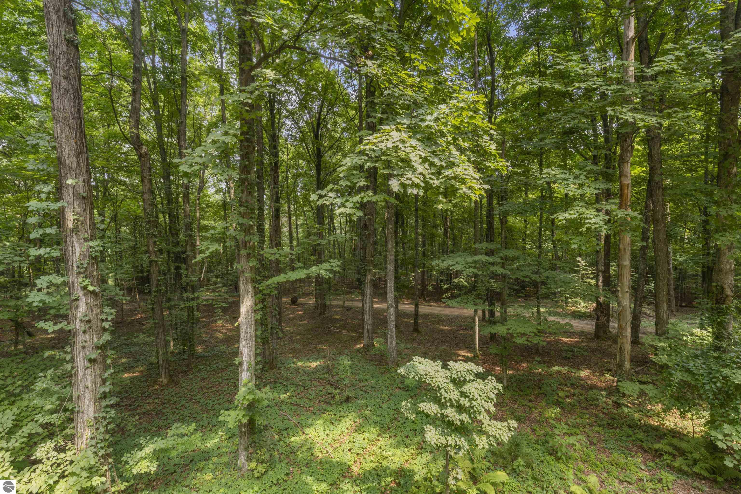 19707 Nine Mile Road