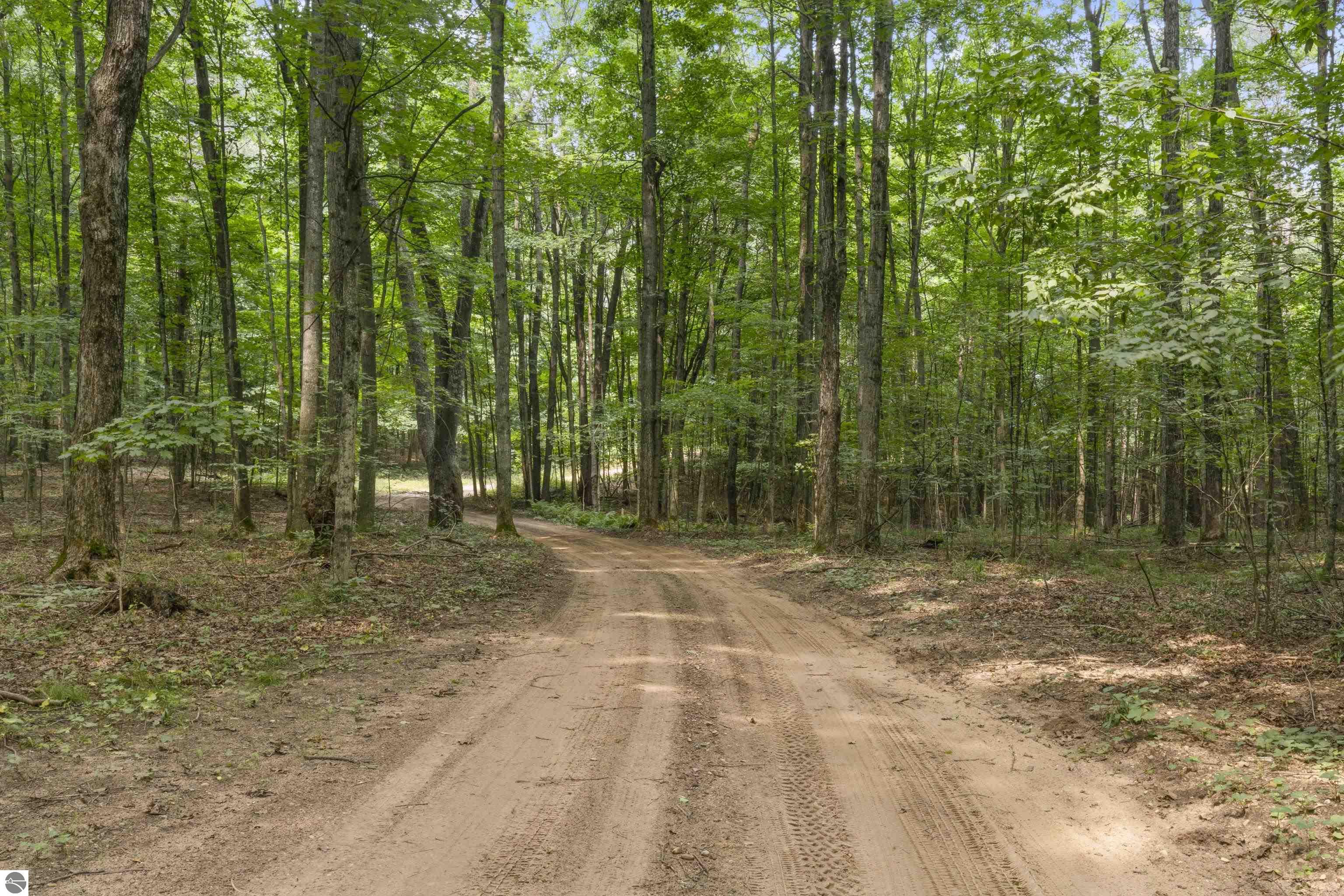 19707 Nine Mile Road