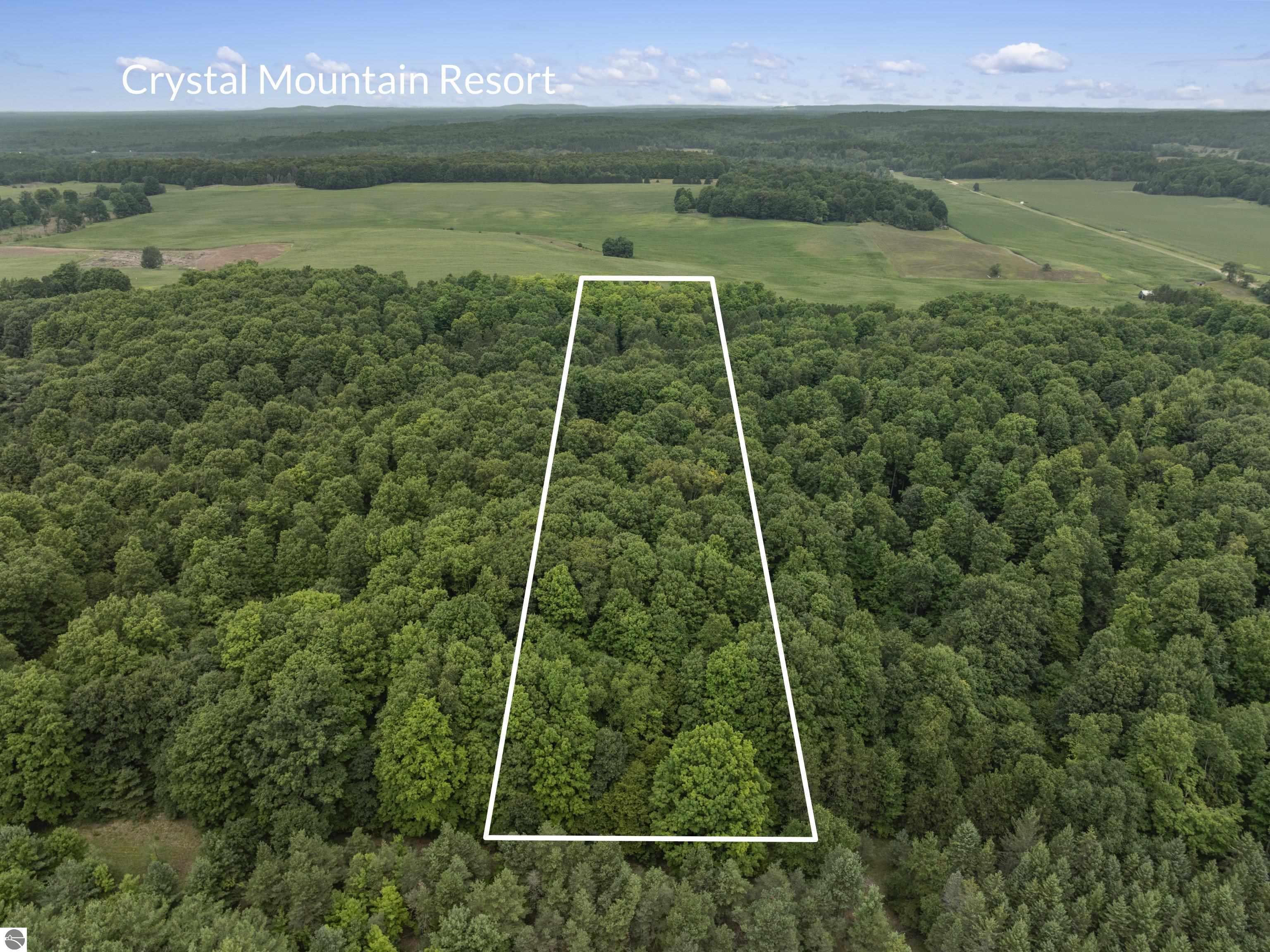19707 Nine Mile Road