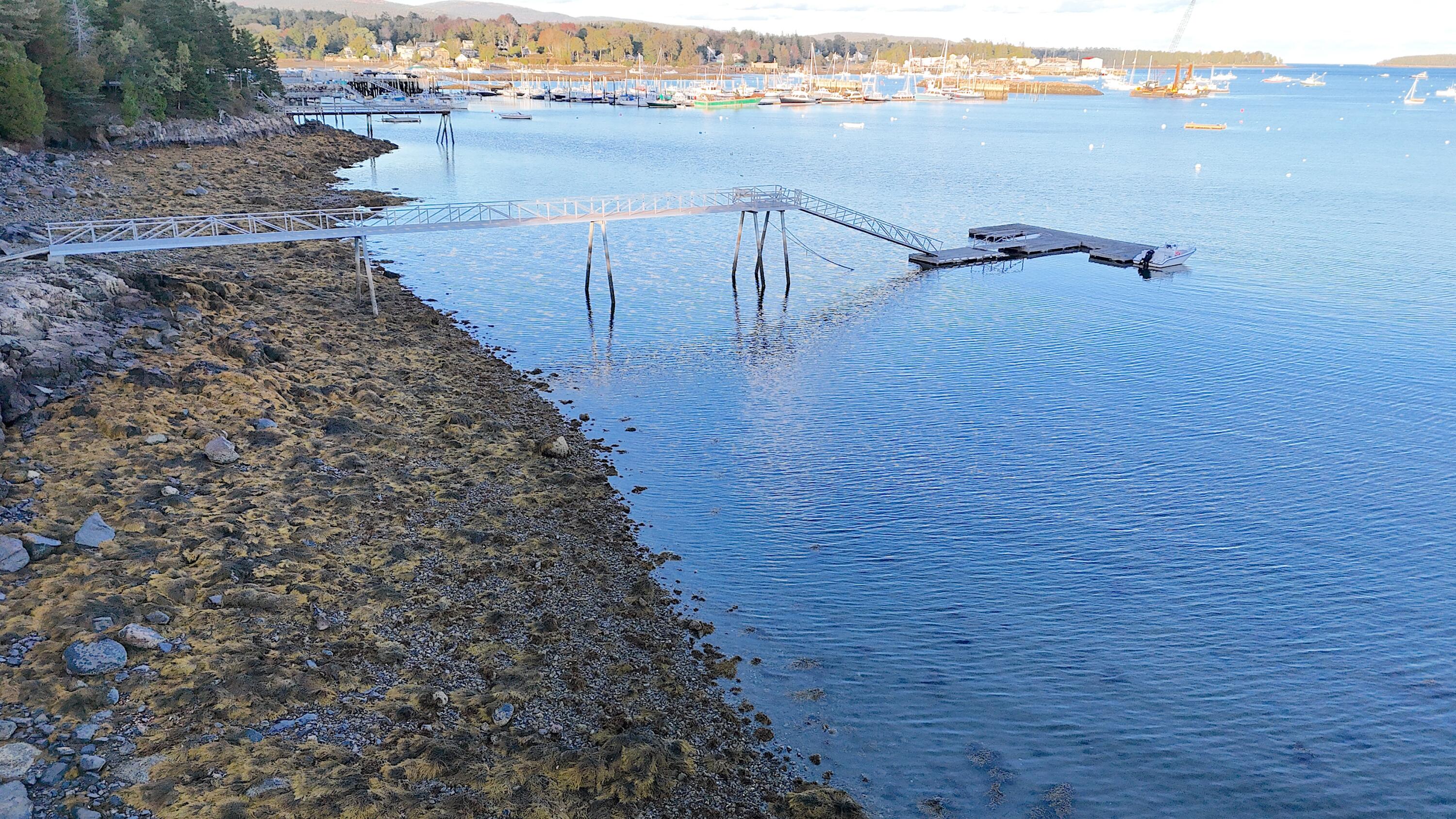Rocky shoreline with a long gangway leading to a floating dock in a harbor filled with sailboats.