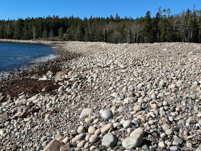Rocky shoreline with blue water and a forested coast beyond the pebble beach.