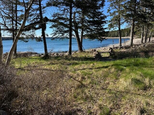 Wooded waterfront with a rocky shoreline and blue water beyond.