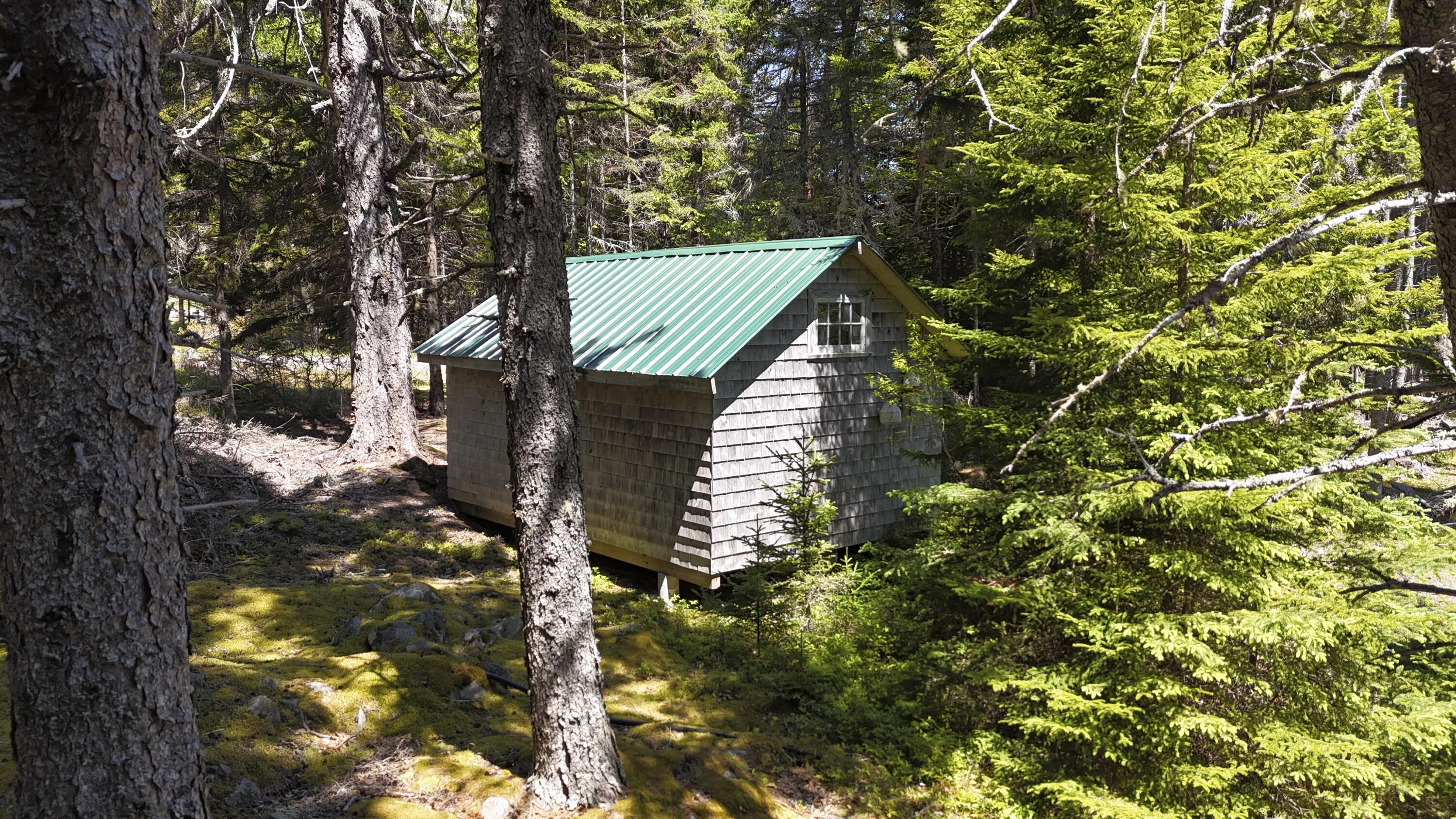 Small shingled cabin with a green metal roof nestled among evergreen trees.