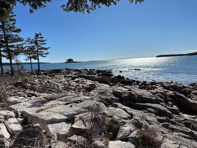 Rocky shoreline overlooking sparkling blue water, a small offshore island, and pine trees.