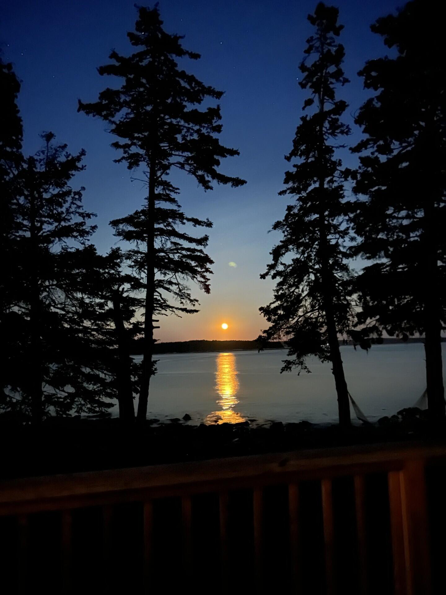 Sunset reflecting across calm water, framed by evergreen trees and a wooden deck railing.