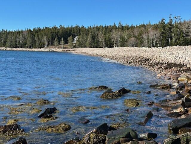 Rocky shoreline with shallow blue water and a curving stone breakwater beneath forested trees.