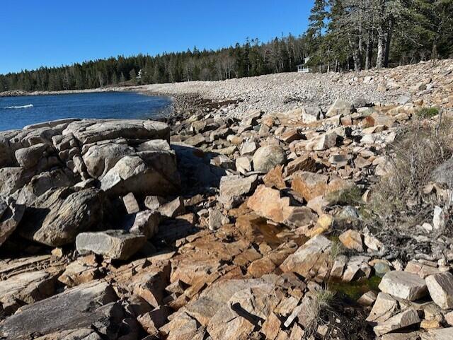 Rocky shoreline beside blue water, with a wooded coast in the background.