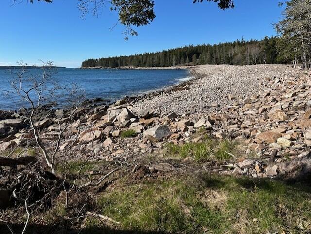 Rocky shoreline beside a wooded coast and calm blue water.