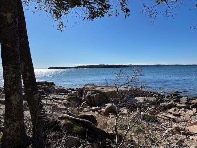 Rocky shoreline overlooking blue water and a wooded island, framed by trees.