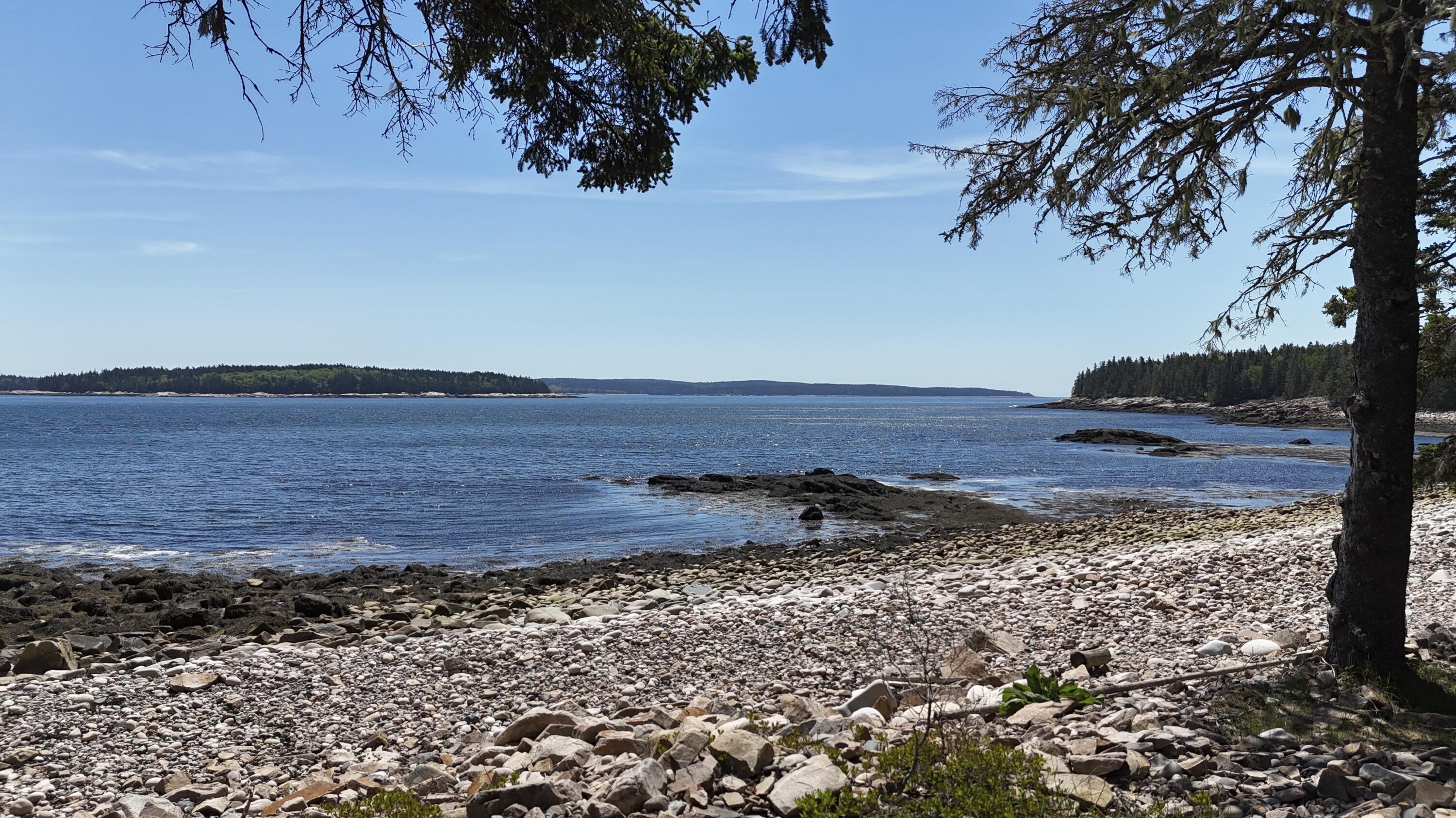 Rocky pebble shoreline meets blue water, framed by evergreen trees and forested islands.