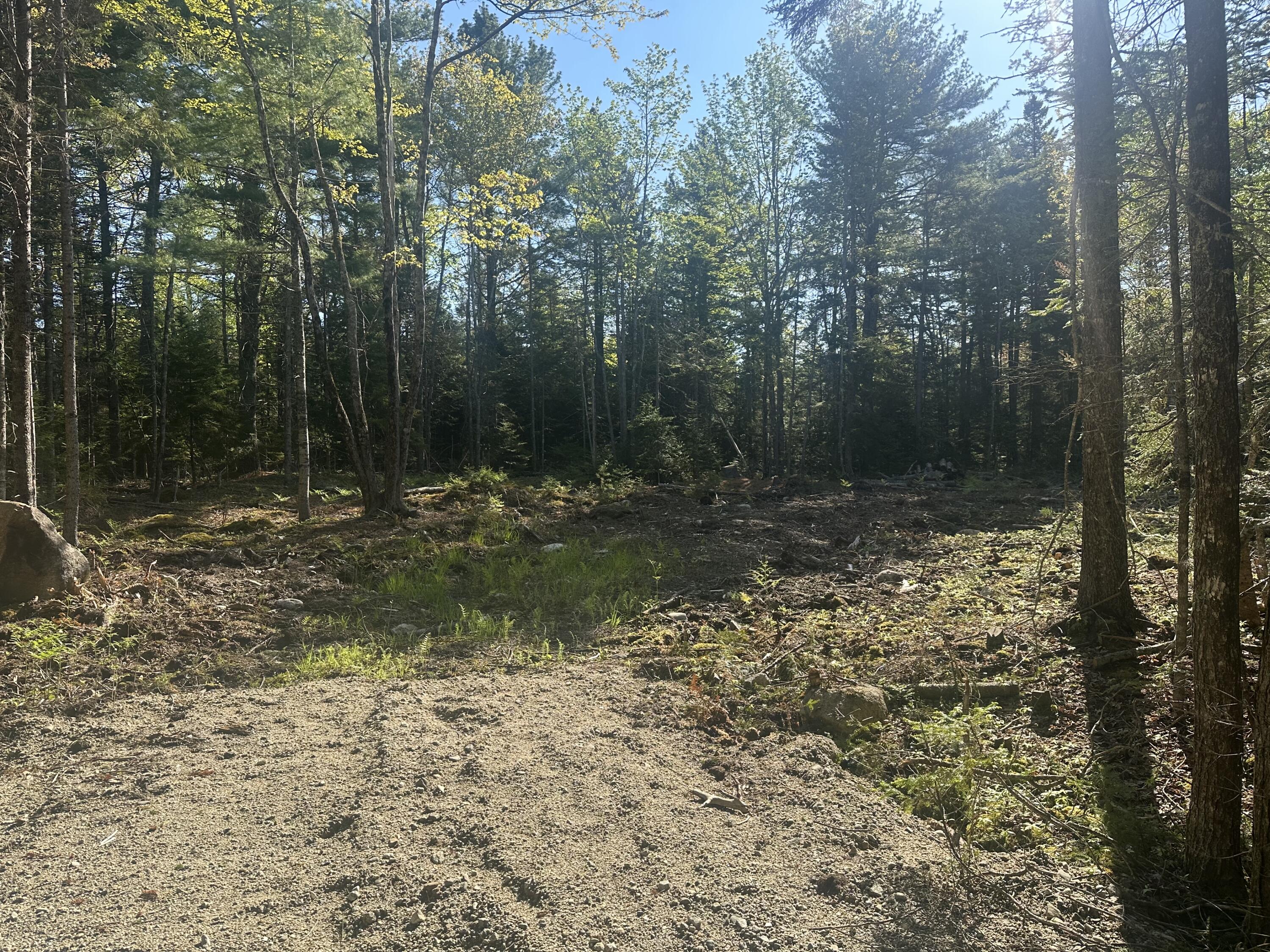 61 Gerards Trail