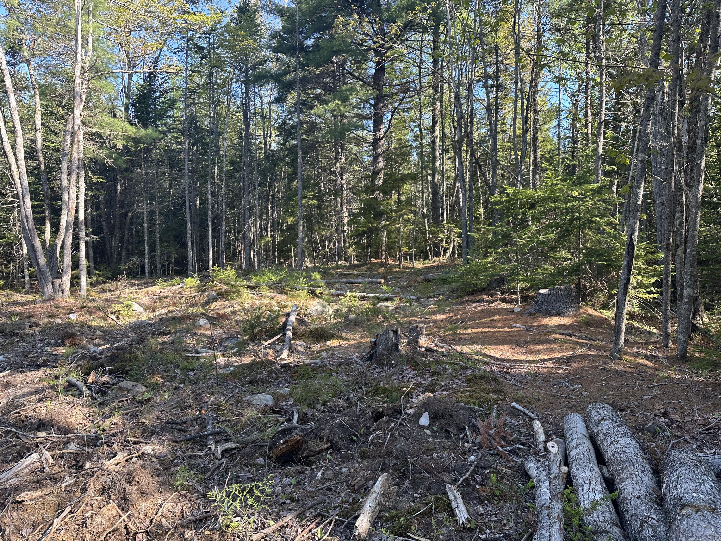 61 Gerards Trail