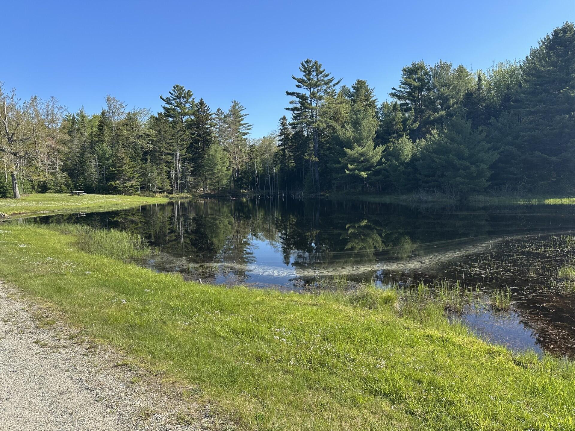 61 Gerards Trail