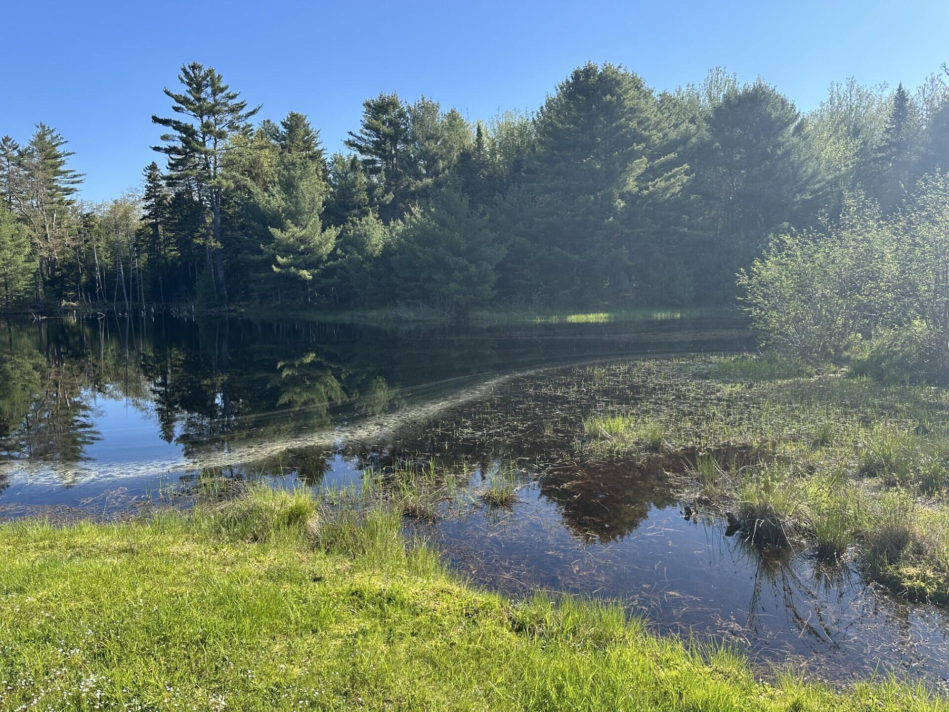 61 Gerards Trail