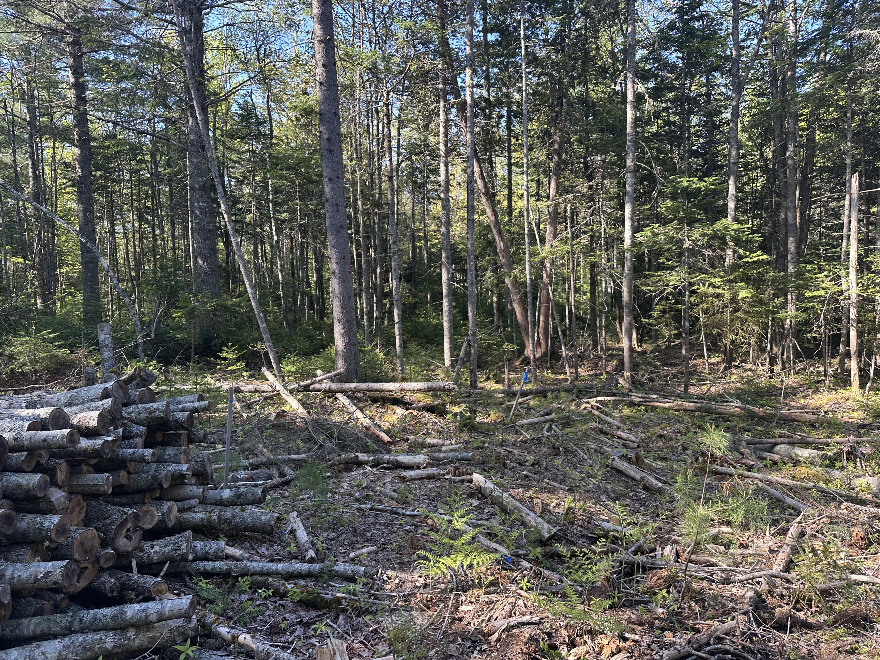 61 Gerards Trail