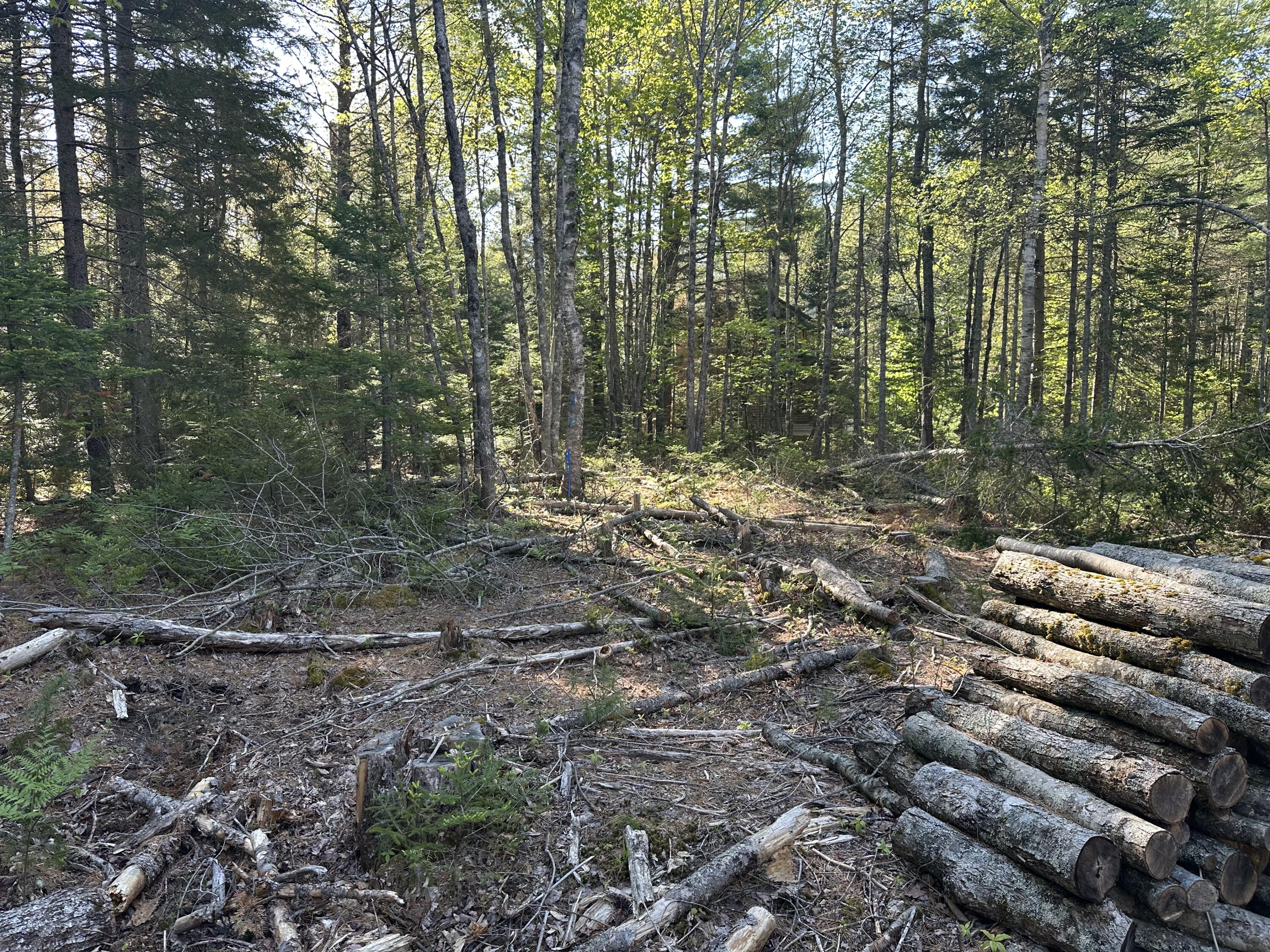 61 Gerards Trail