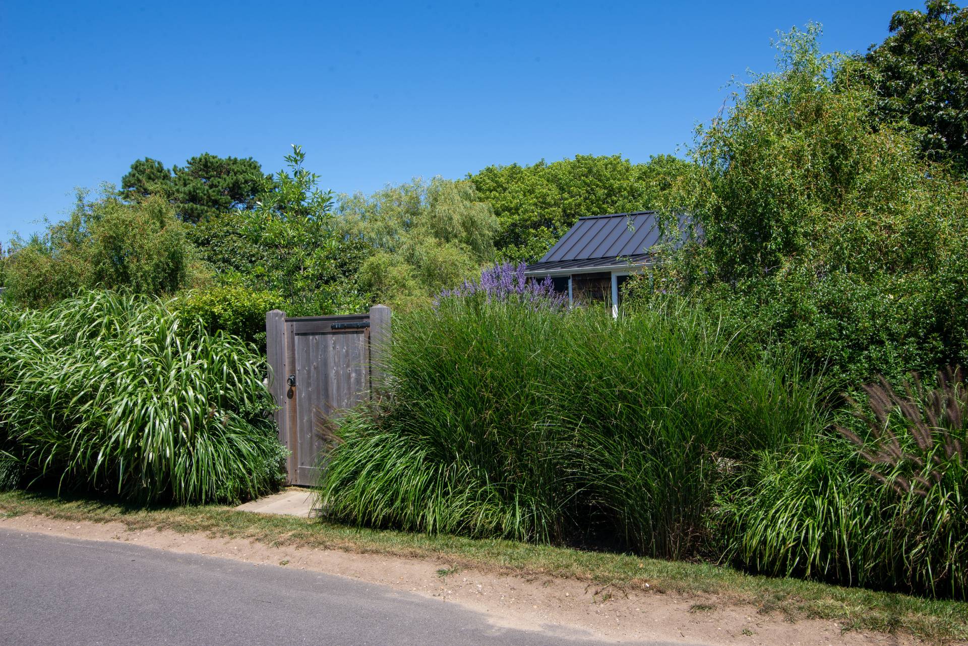 12 Jackson Road