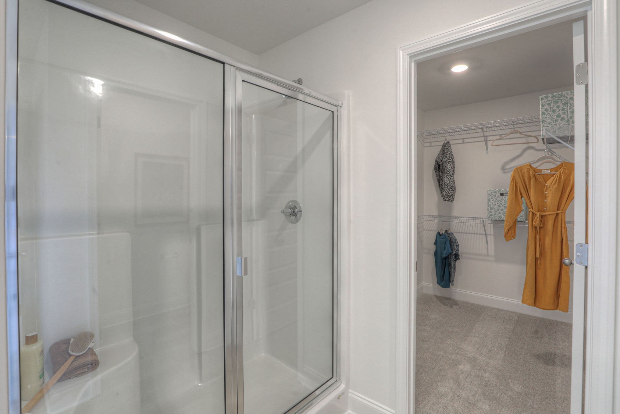 295 Shayton Pass