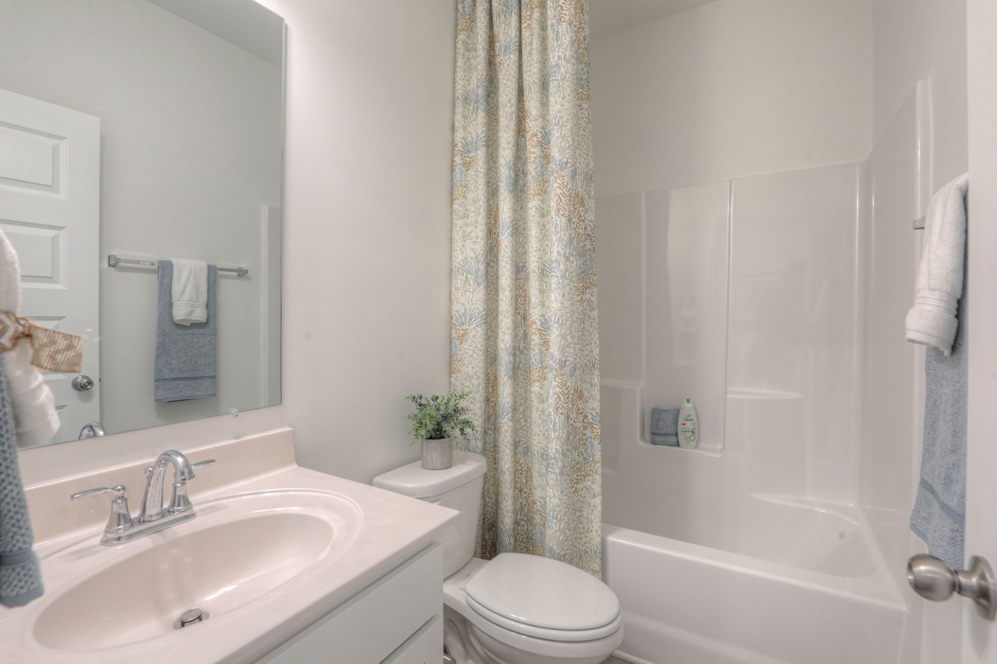 295 Shayton Pass