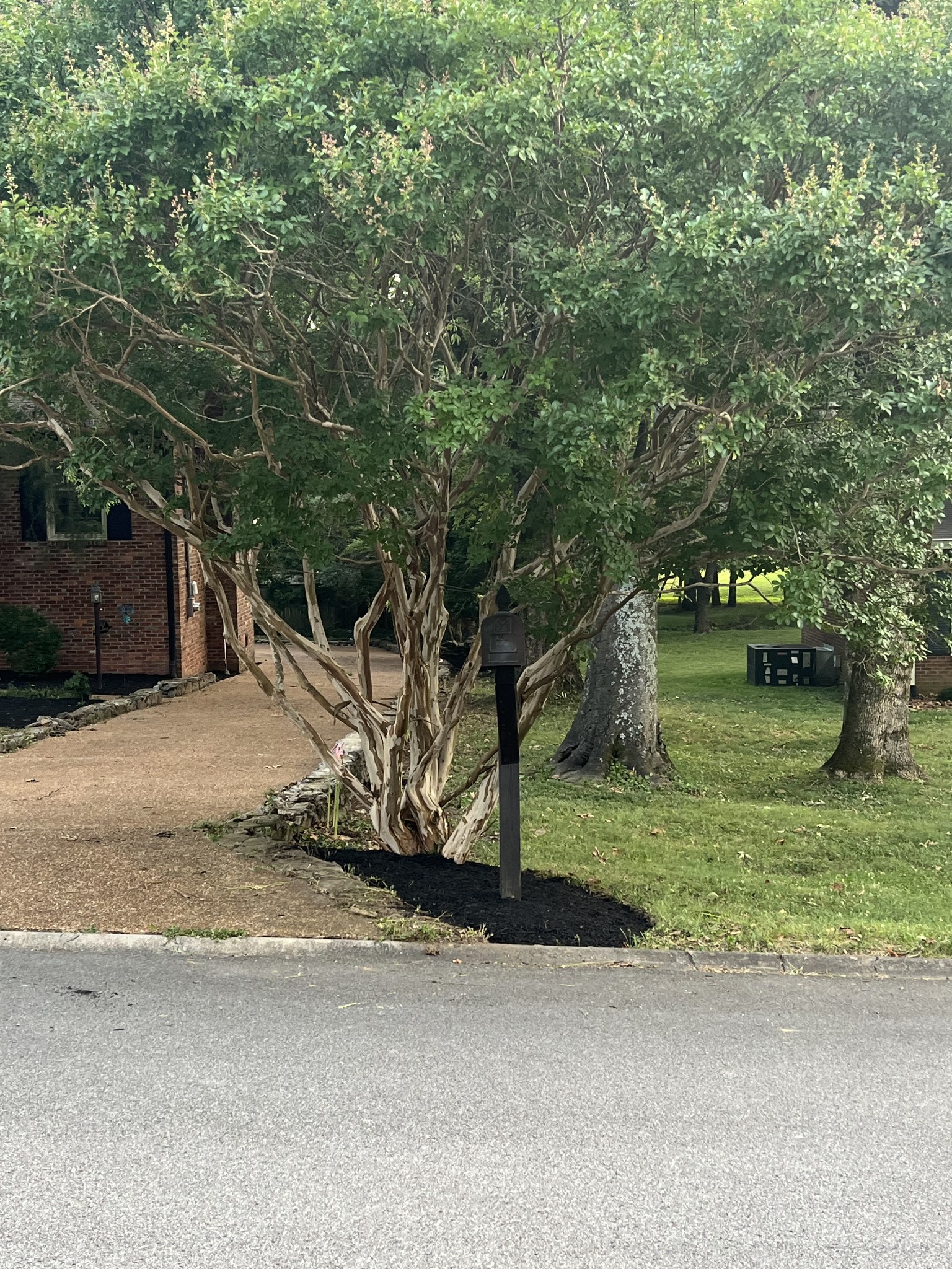 114 Timberline Dr