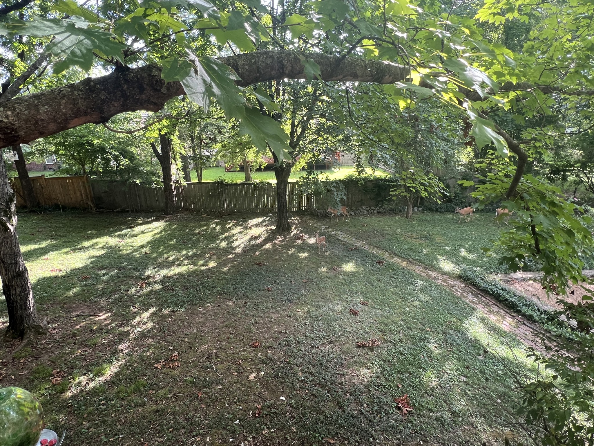 114 Timberline Dr