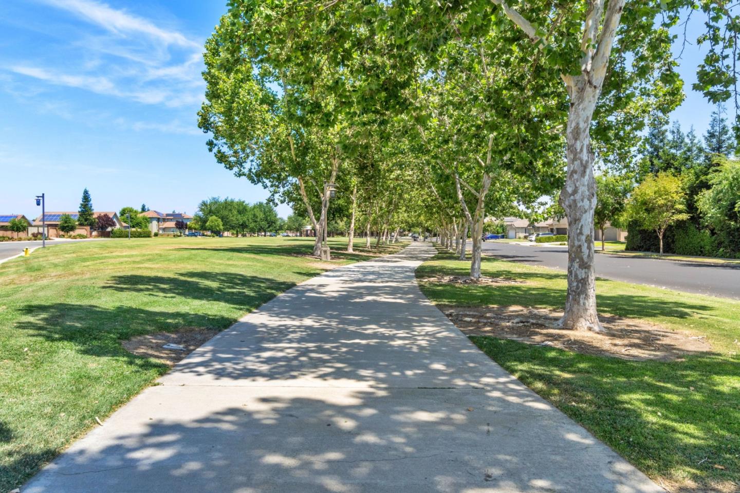 3121 Alamos AVE