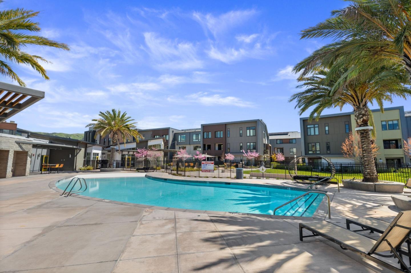 45049 Challenge CMN 203