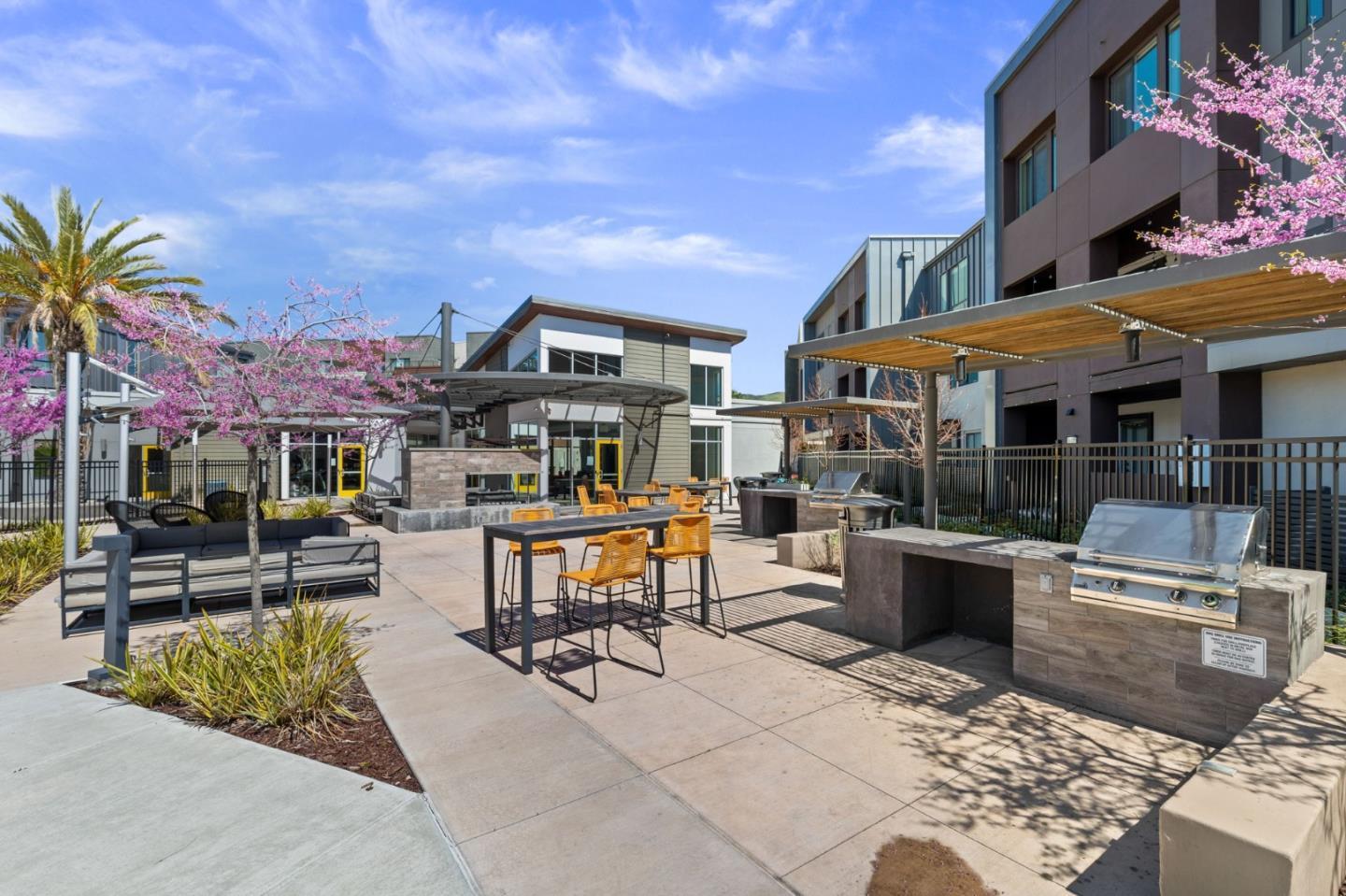 45049 Challenge CMN 203