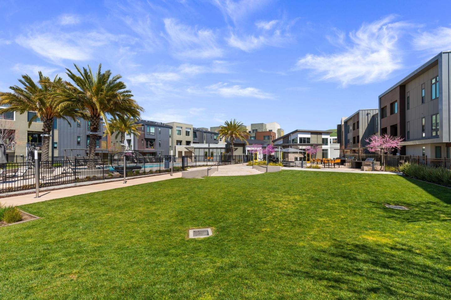 45049 Challenge CMN 203