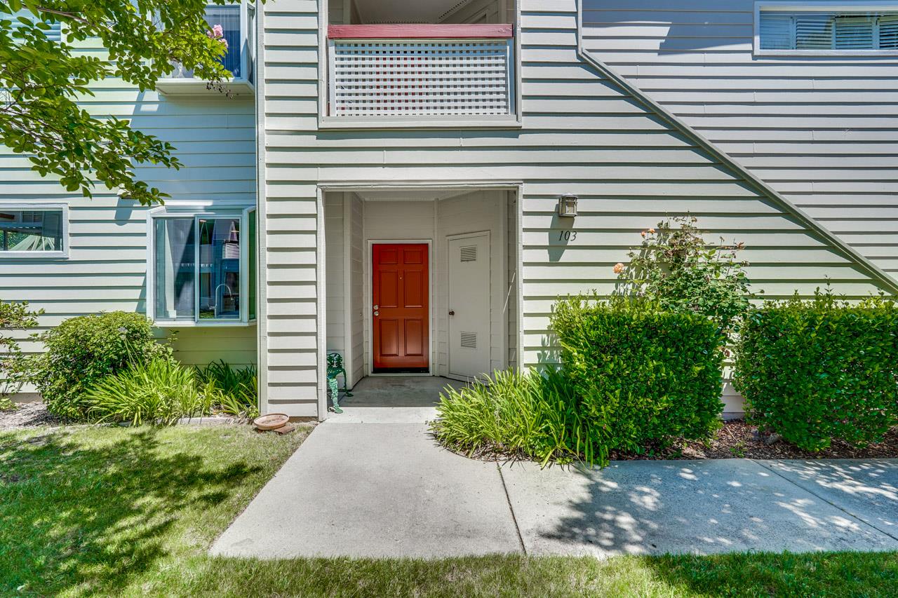 103 Chelsea WAY