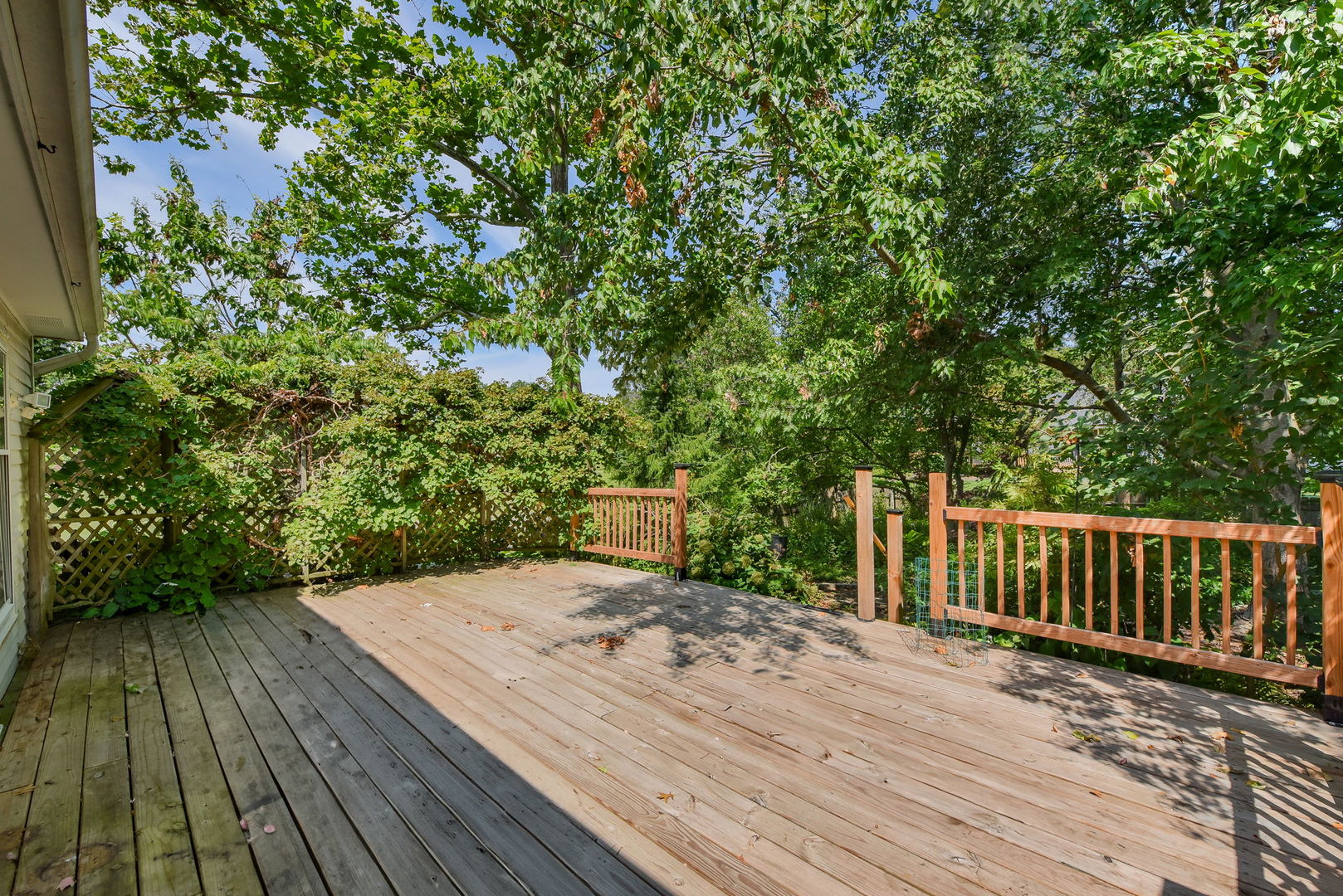 1191 E Gartner Road