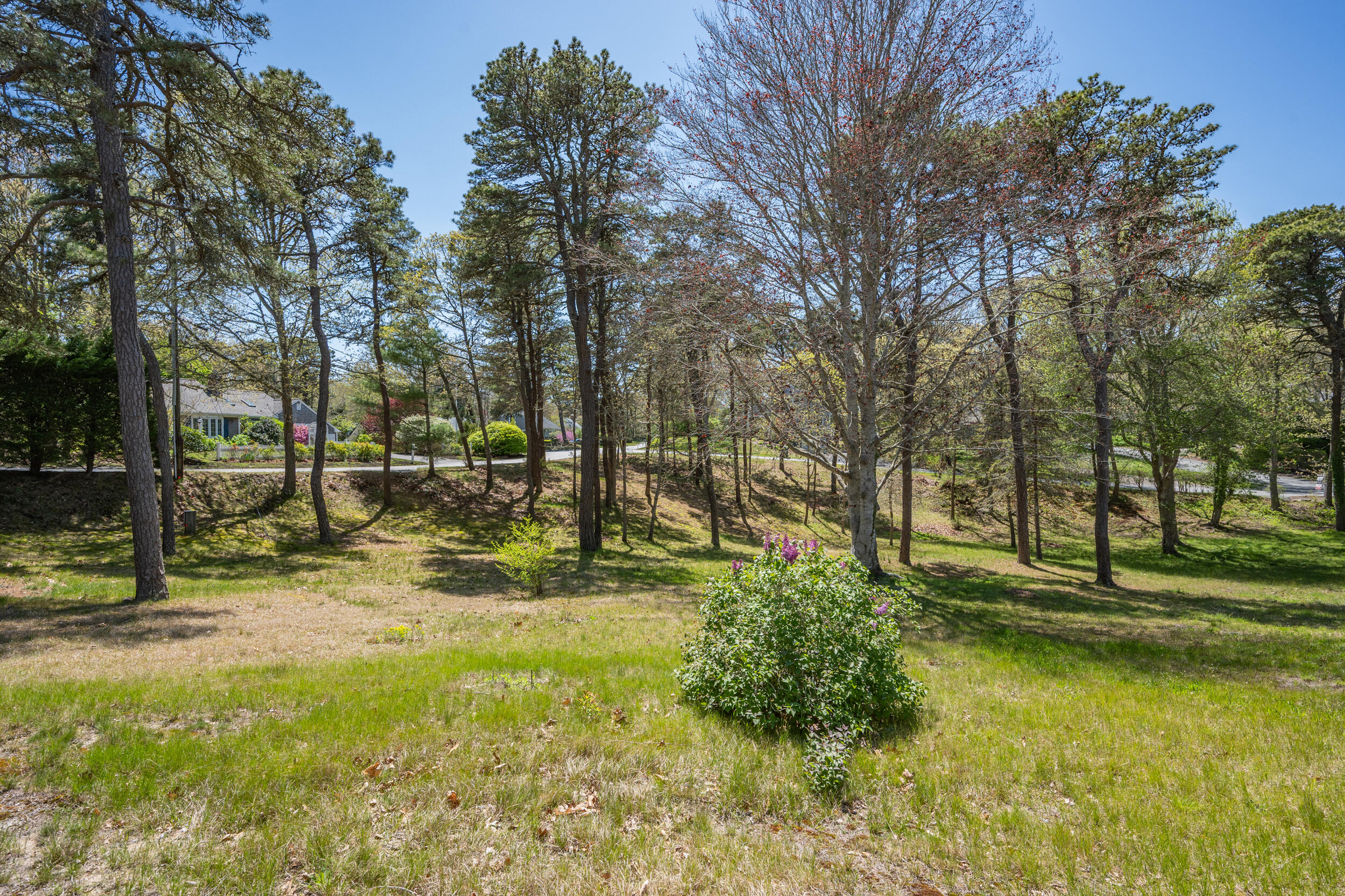 55 Winterset Drive