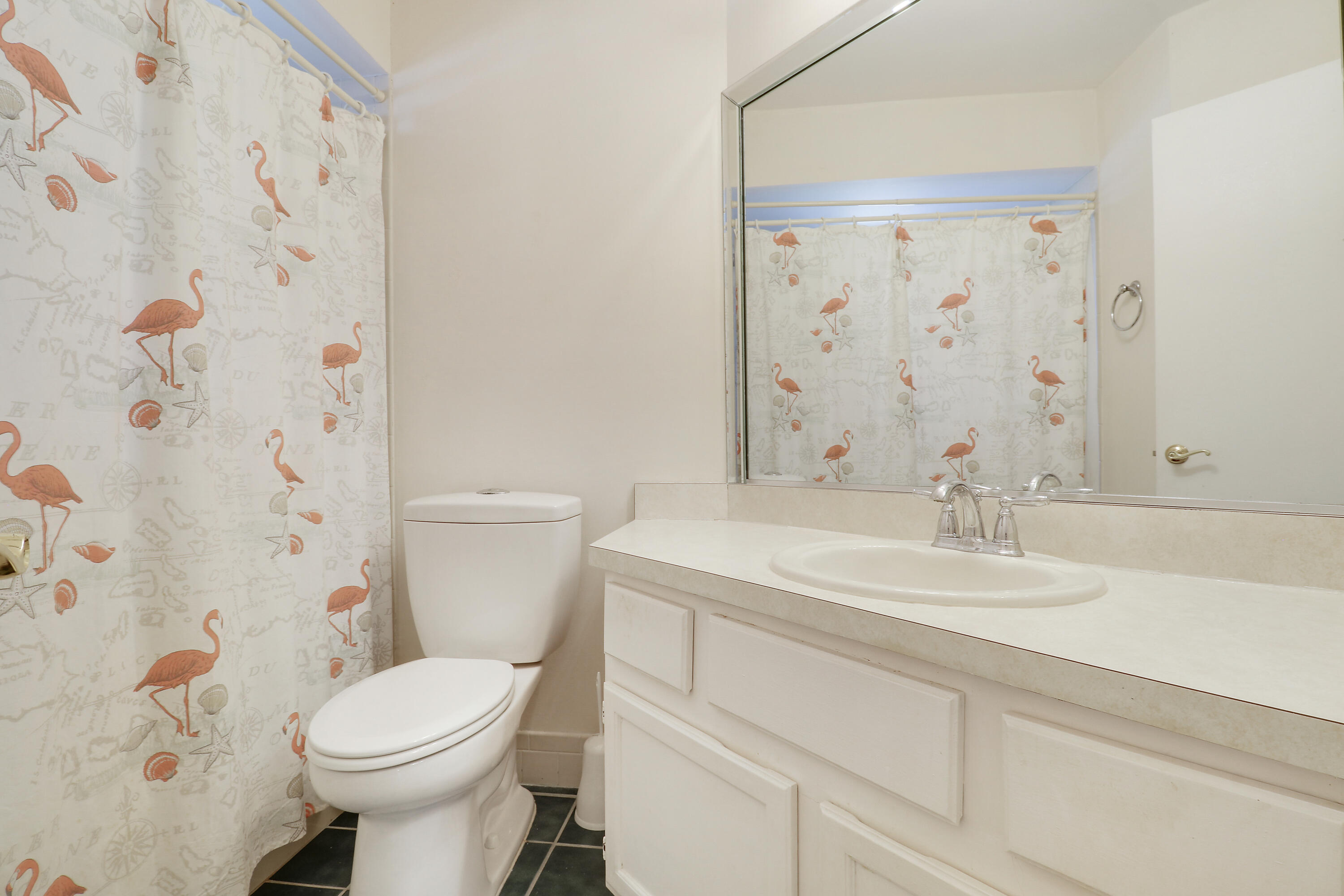 1127 E Seminole Avenue 15b