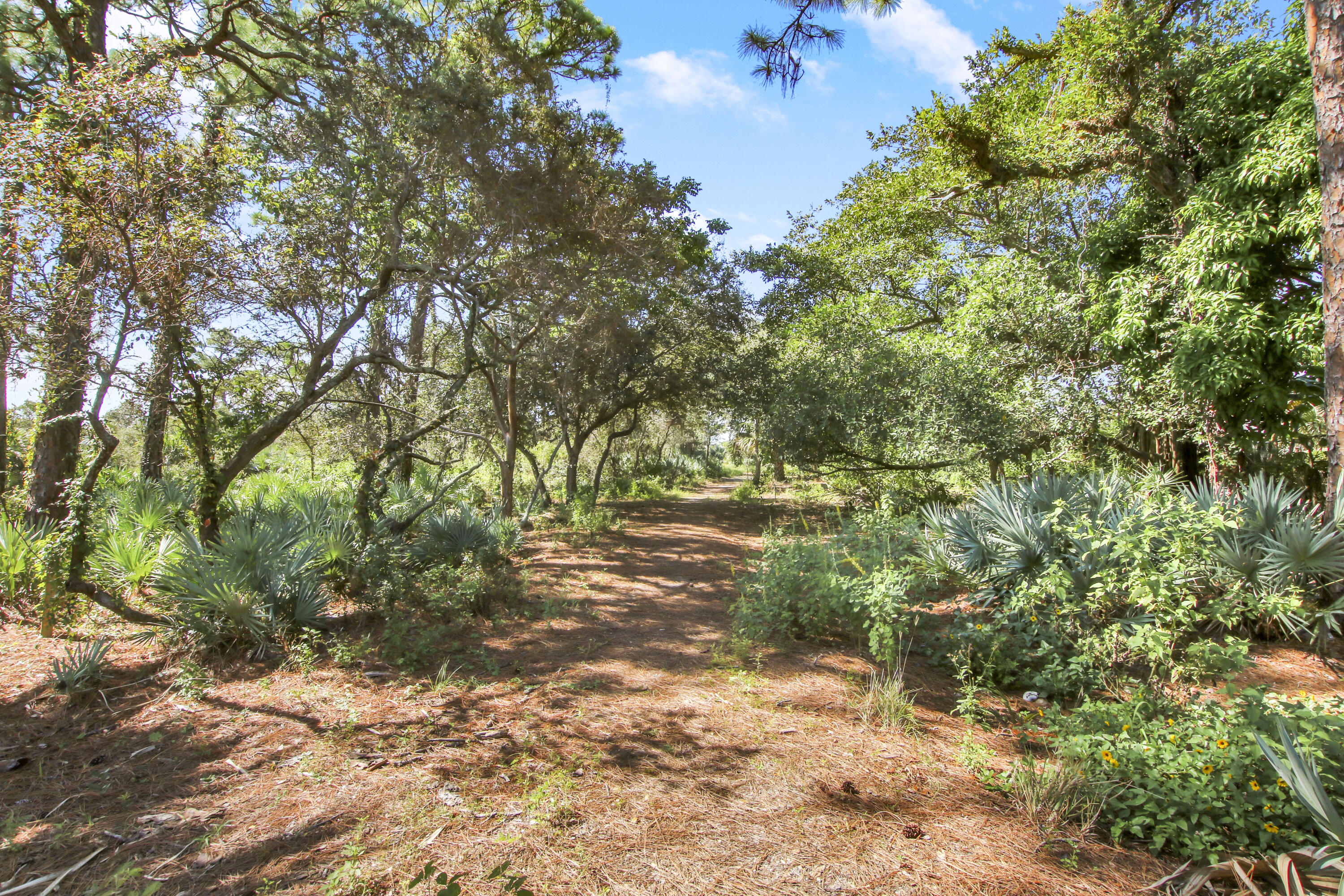 19823 Hibiscus Drive